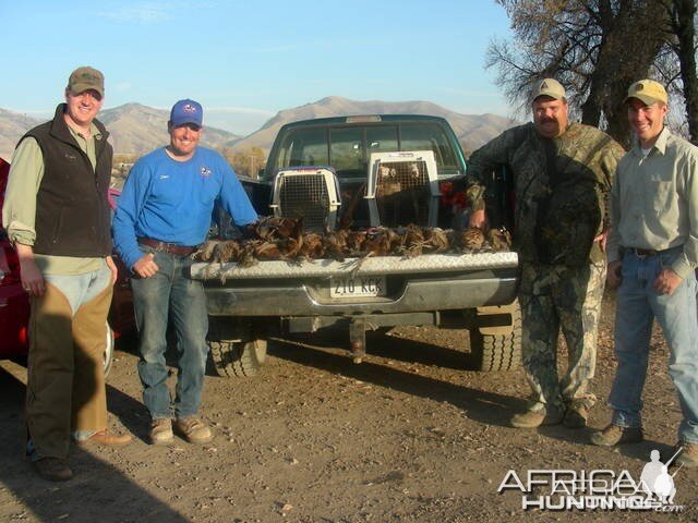 Bird hunting South Africa