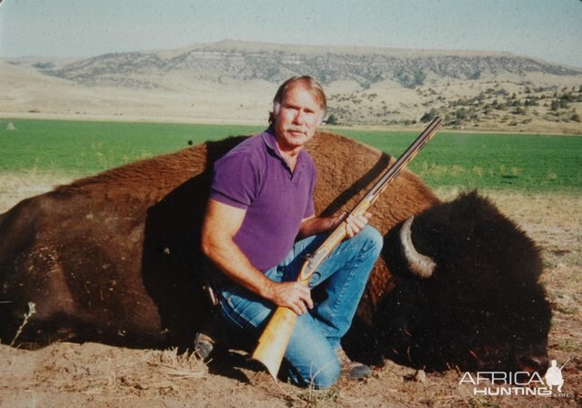 Bison Hunting Montana USA
