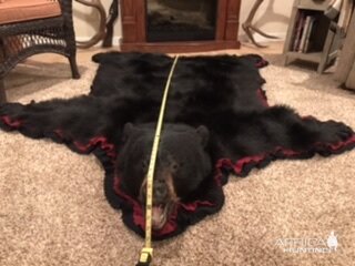 Black Bear Head & Skin Rug