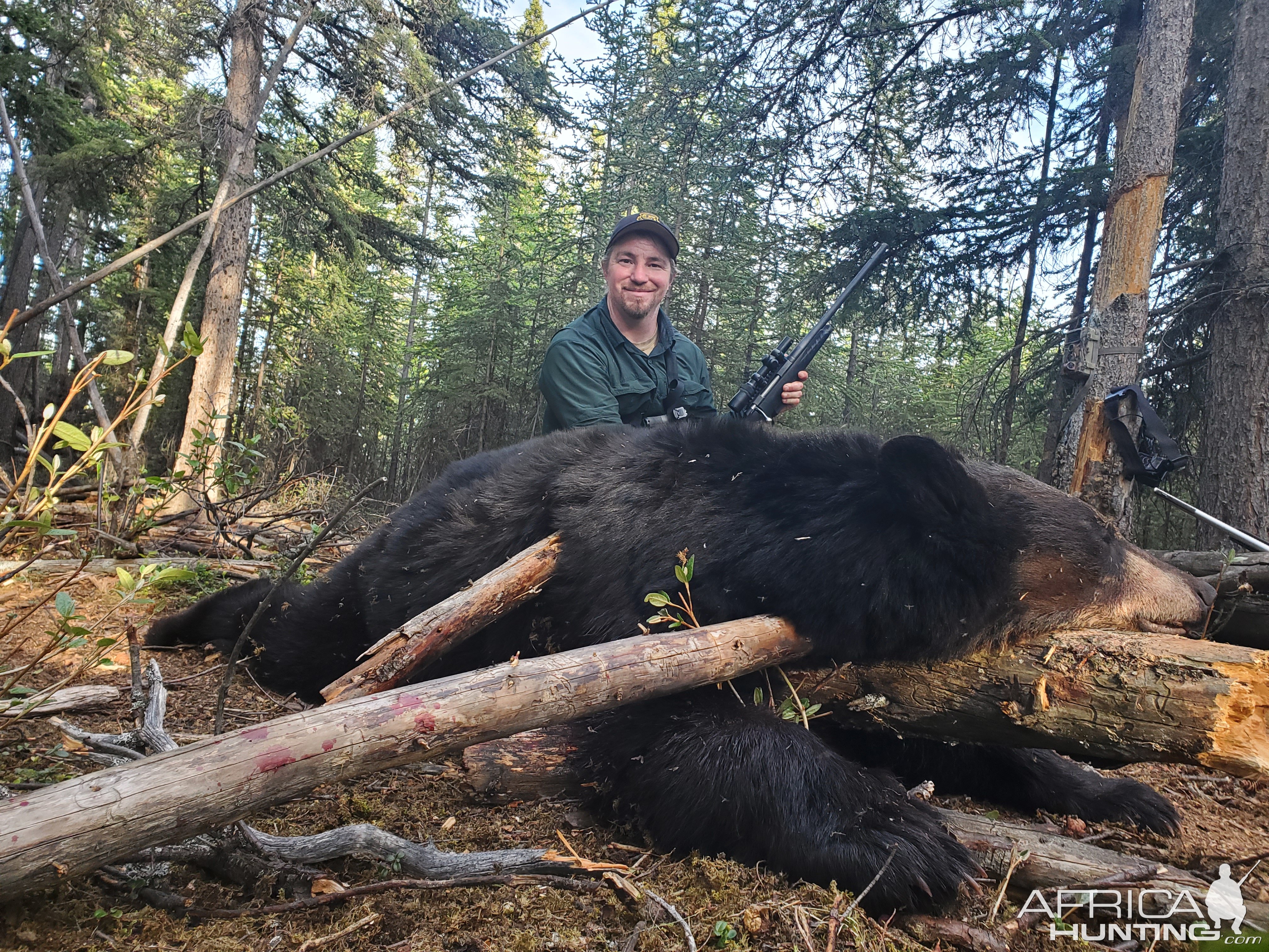 Black Bear Hunt Alaska
