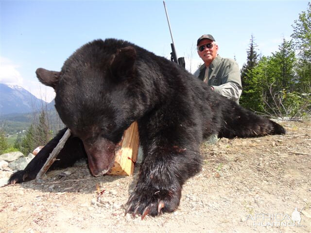 Black Bear Hunt in Canada