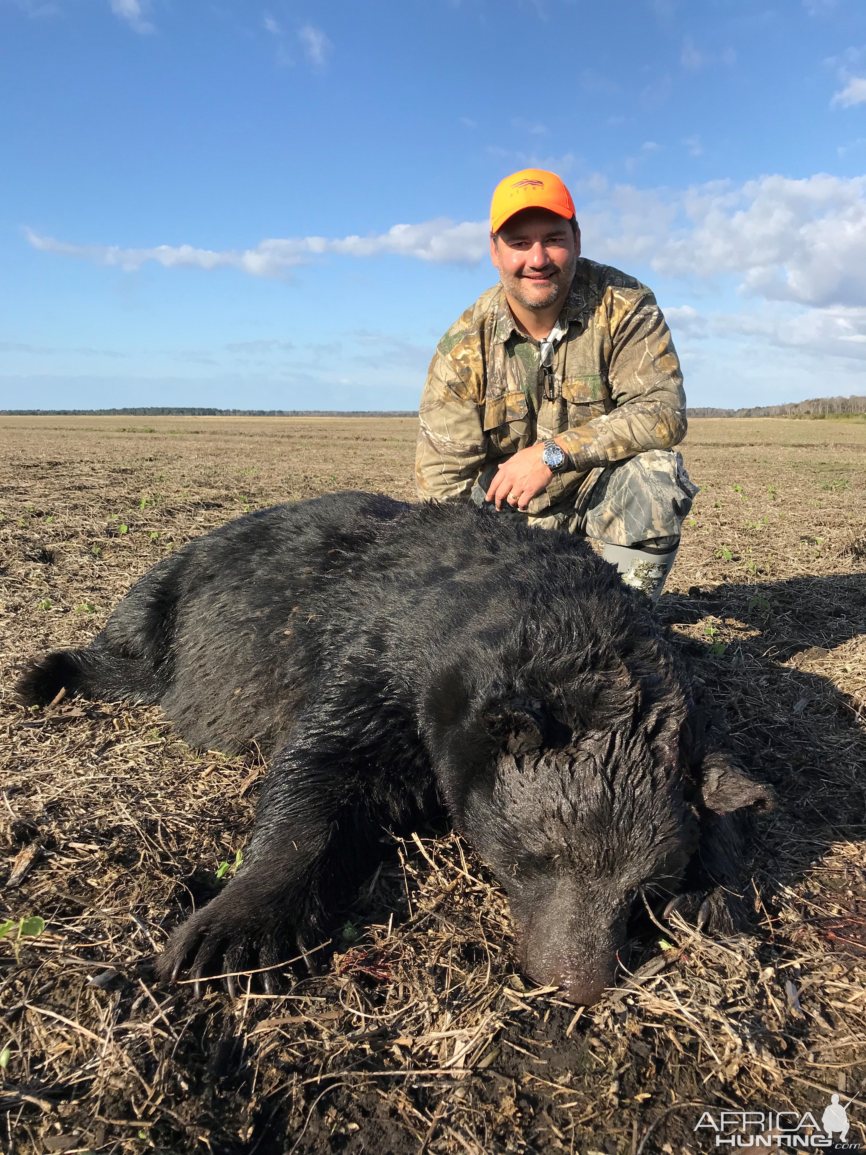 Black Bear Hunt North Carolina