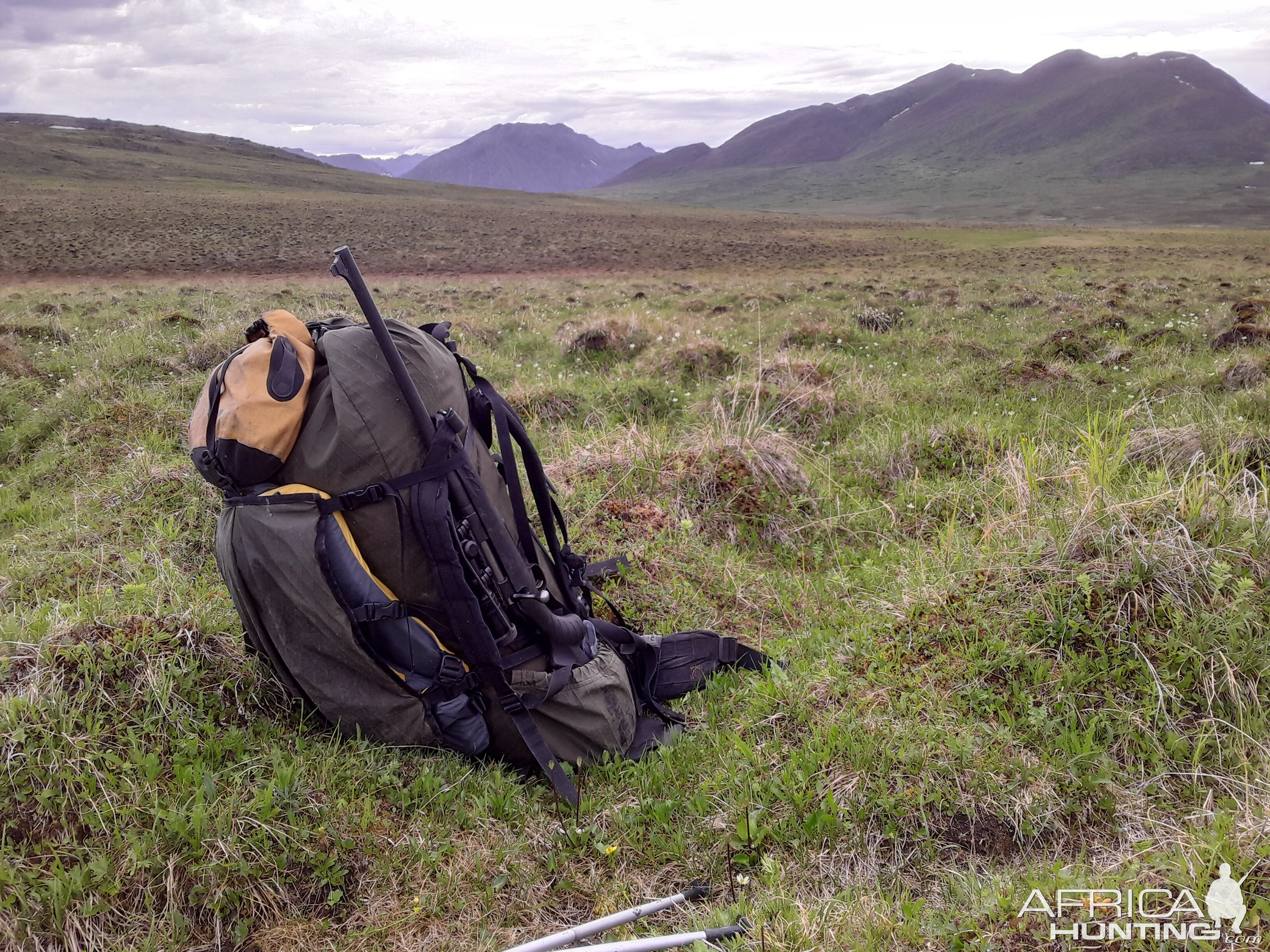 Black Bear Hunt