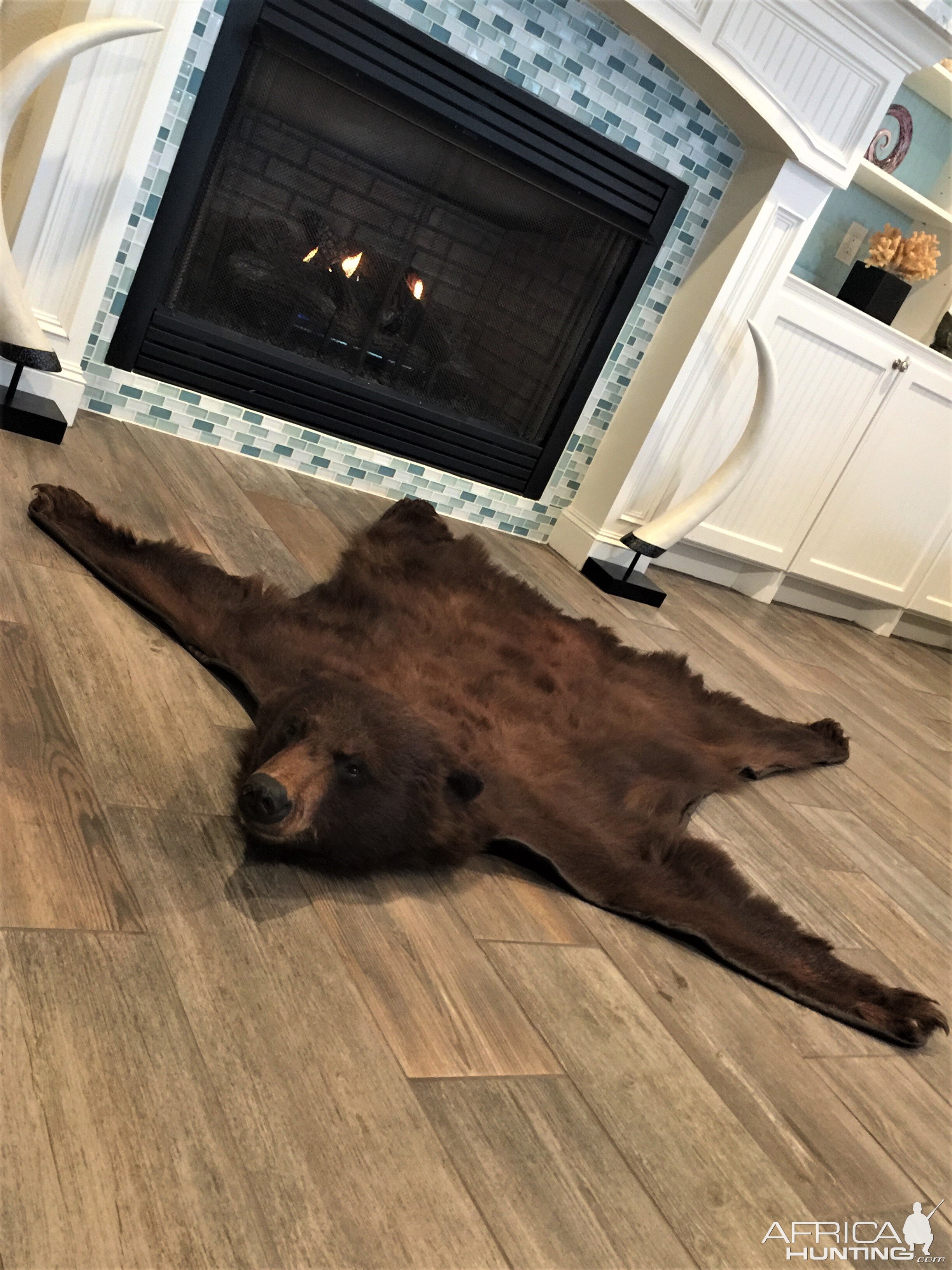 Black Bear Rug