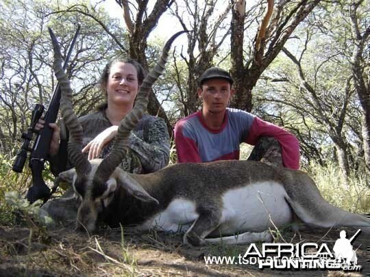 Black buck - Argentina