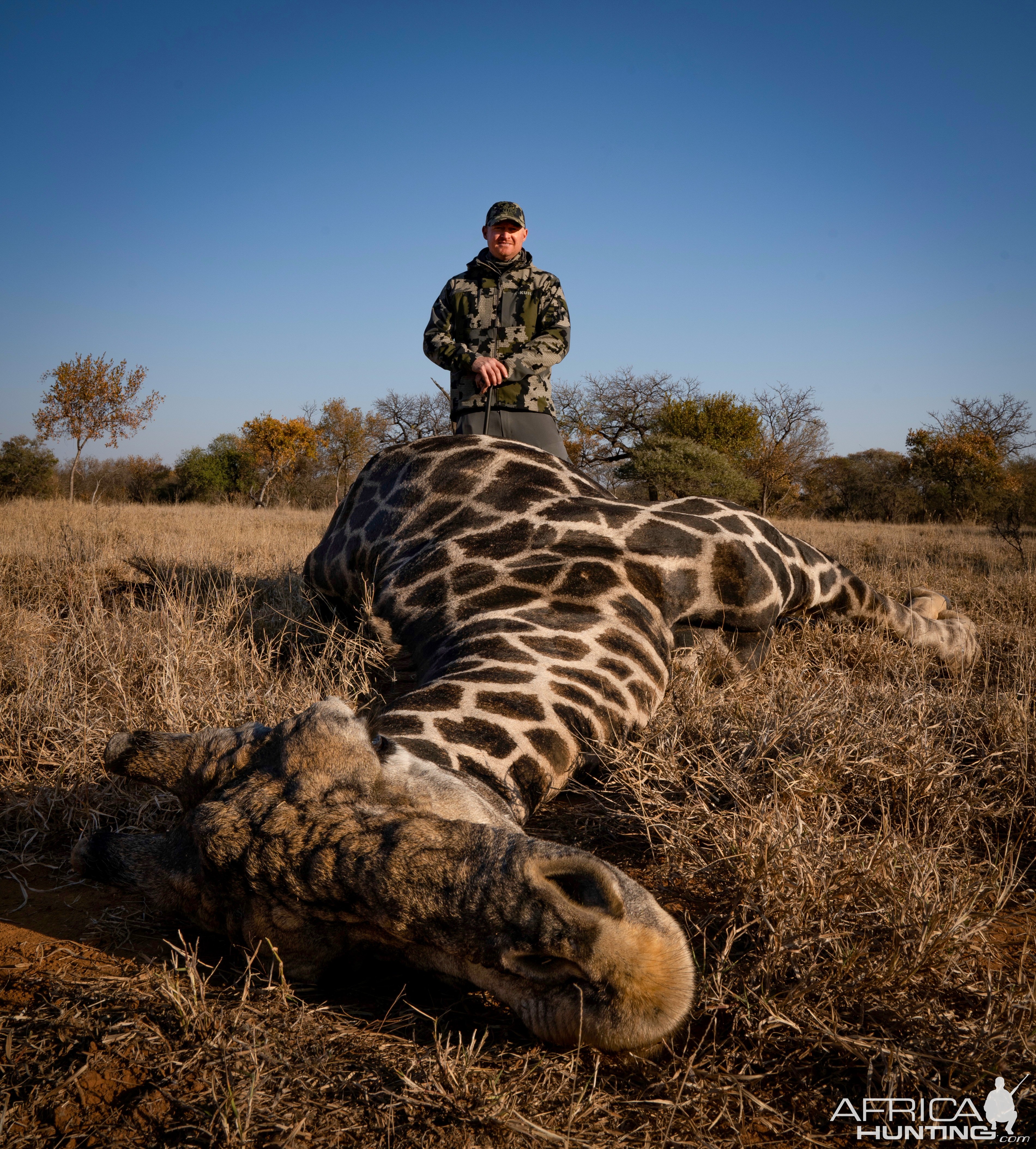 Black Giraffe Bull Hunt South Africa