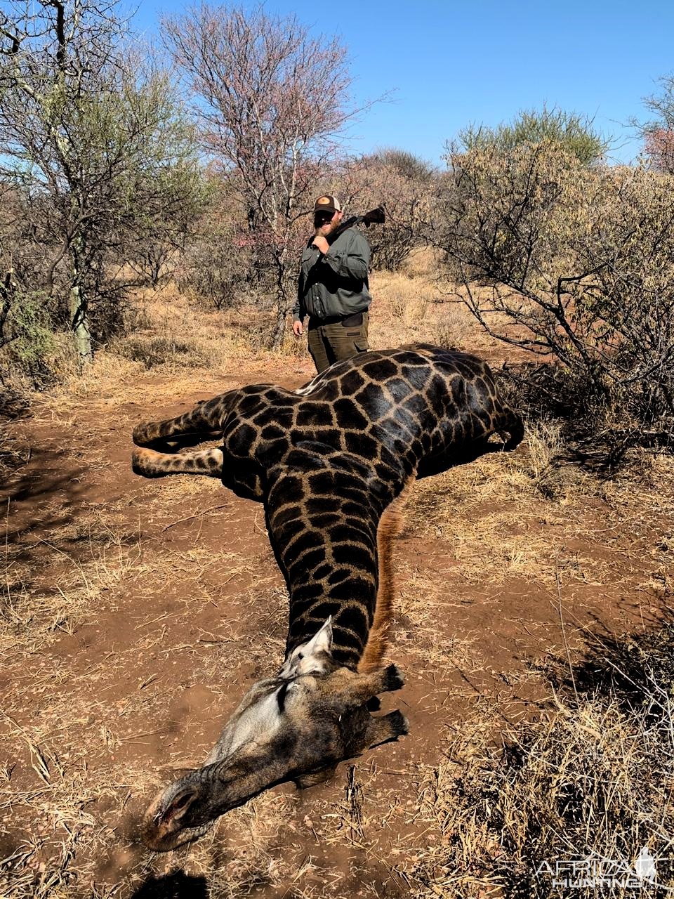 Black Giraffe Hunt South Africa