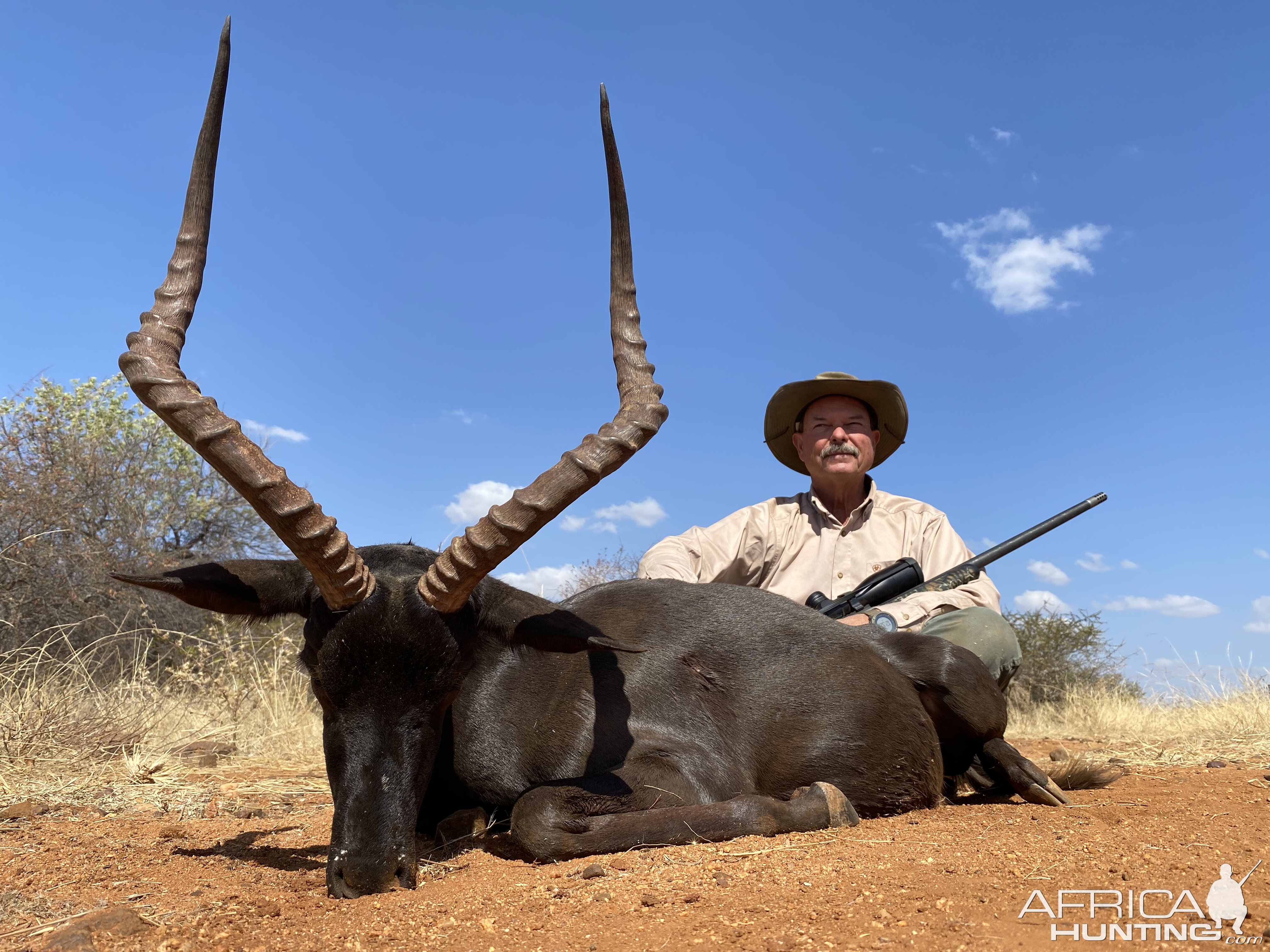 Black Impala Hunt Limpopo South Africa