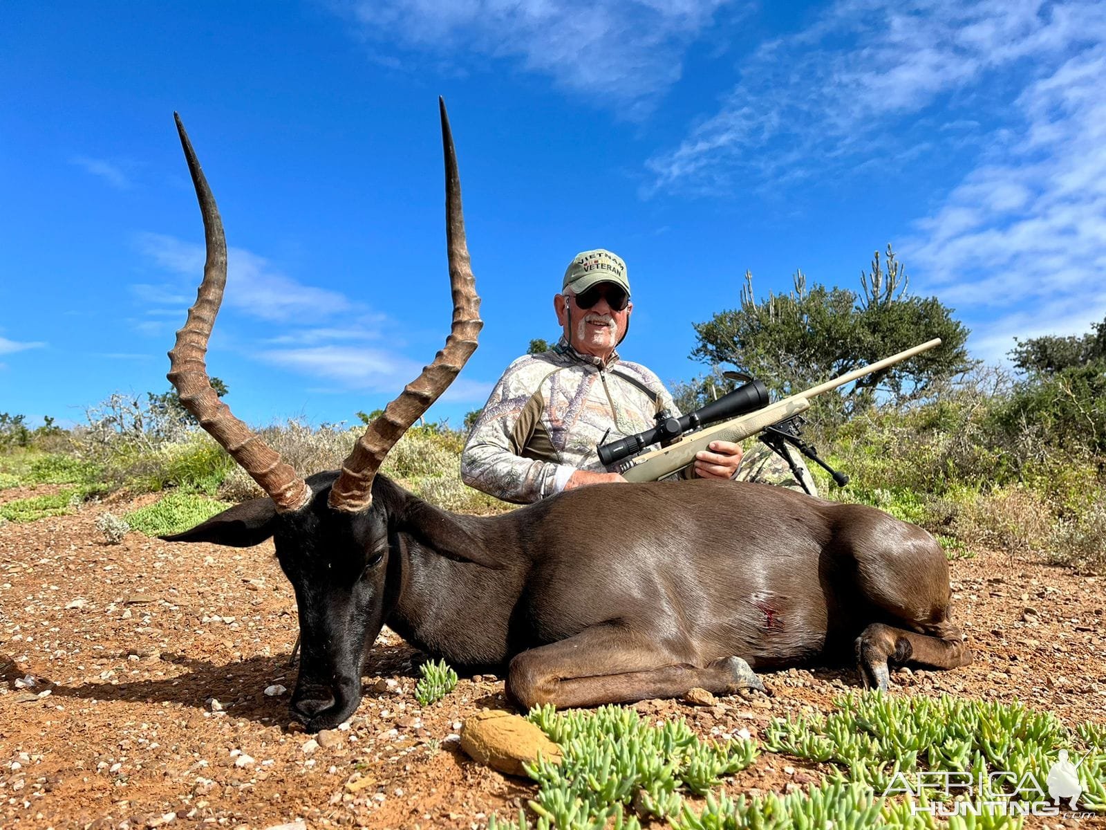 Black Impala Hunting Eastern Cape South Africa