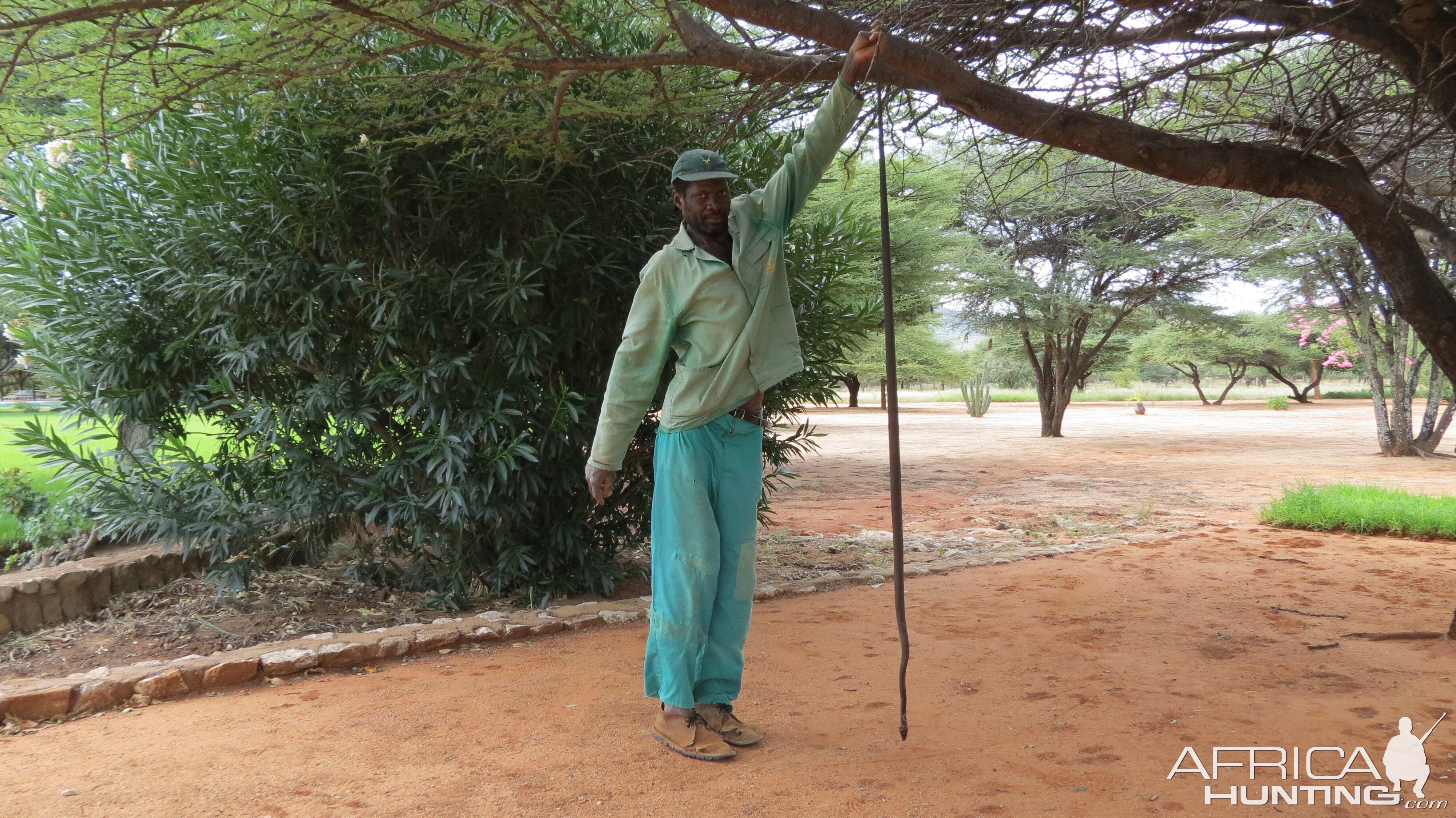 Black Mamba Namibia