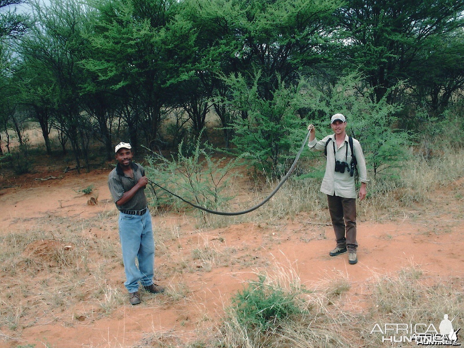 Black Mamba Shot in Namibia