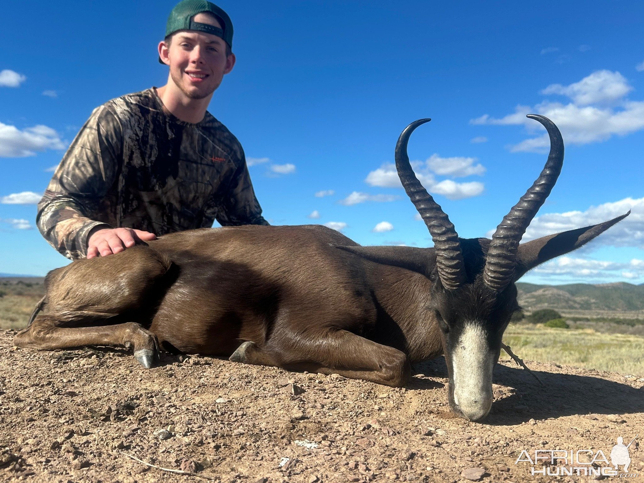Black Springbok Hunt Eastern Cape South Africa