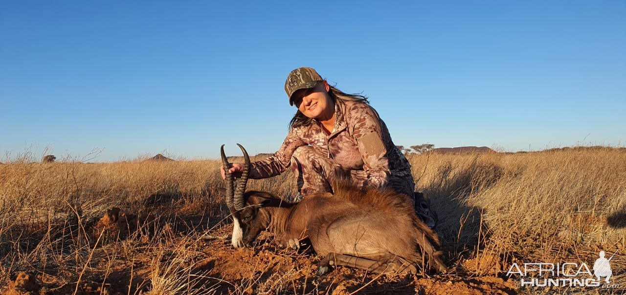 Black Springbok Hunt Northern Cape South Africa