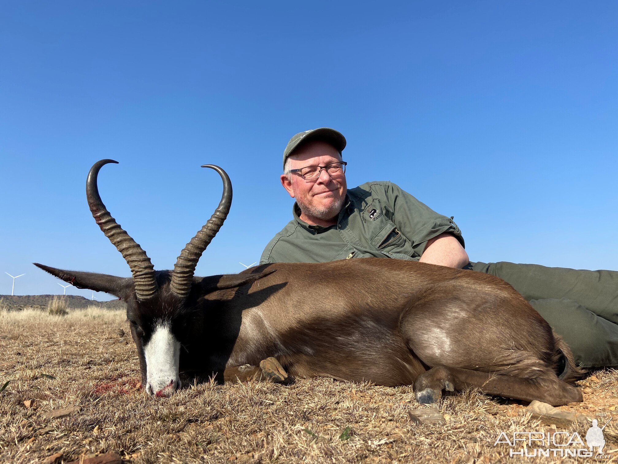 Black Springbok Hunt Northern Cape South Africa