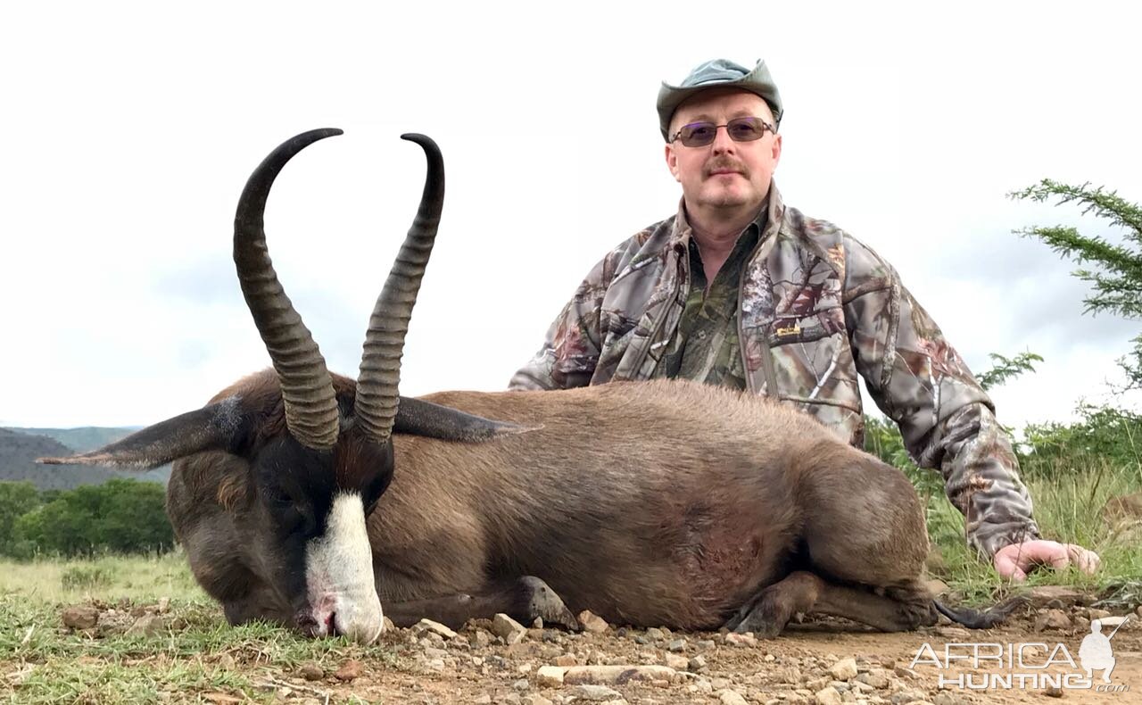 Black Springbok Hunt South Africa