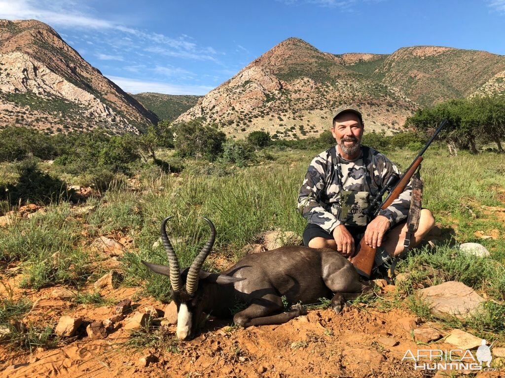 Black Springbok Hunt South Africa