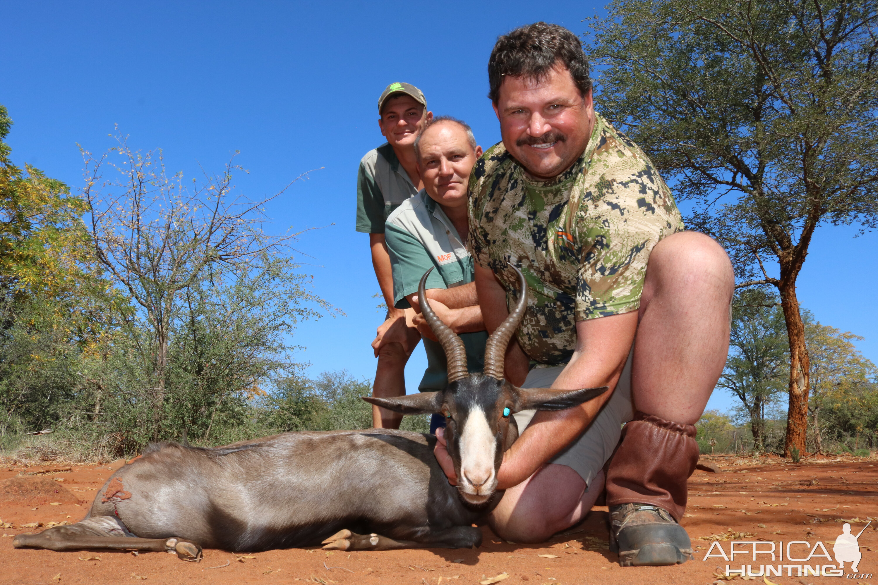 Black Springbok Hunting South Africa