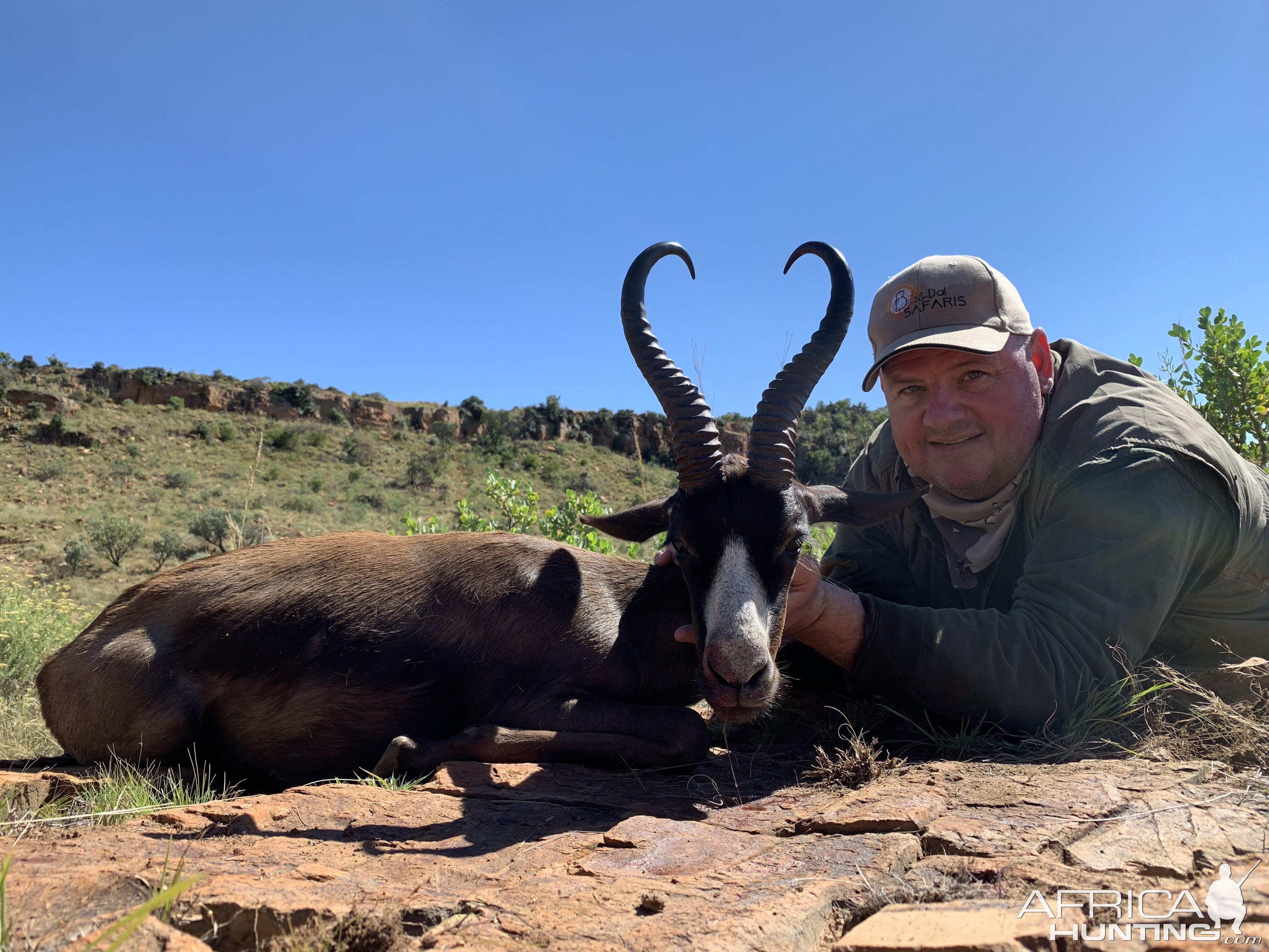 Black Springbok Hunting South Africa