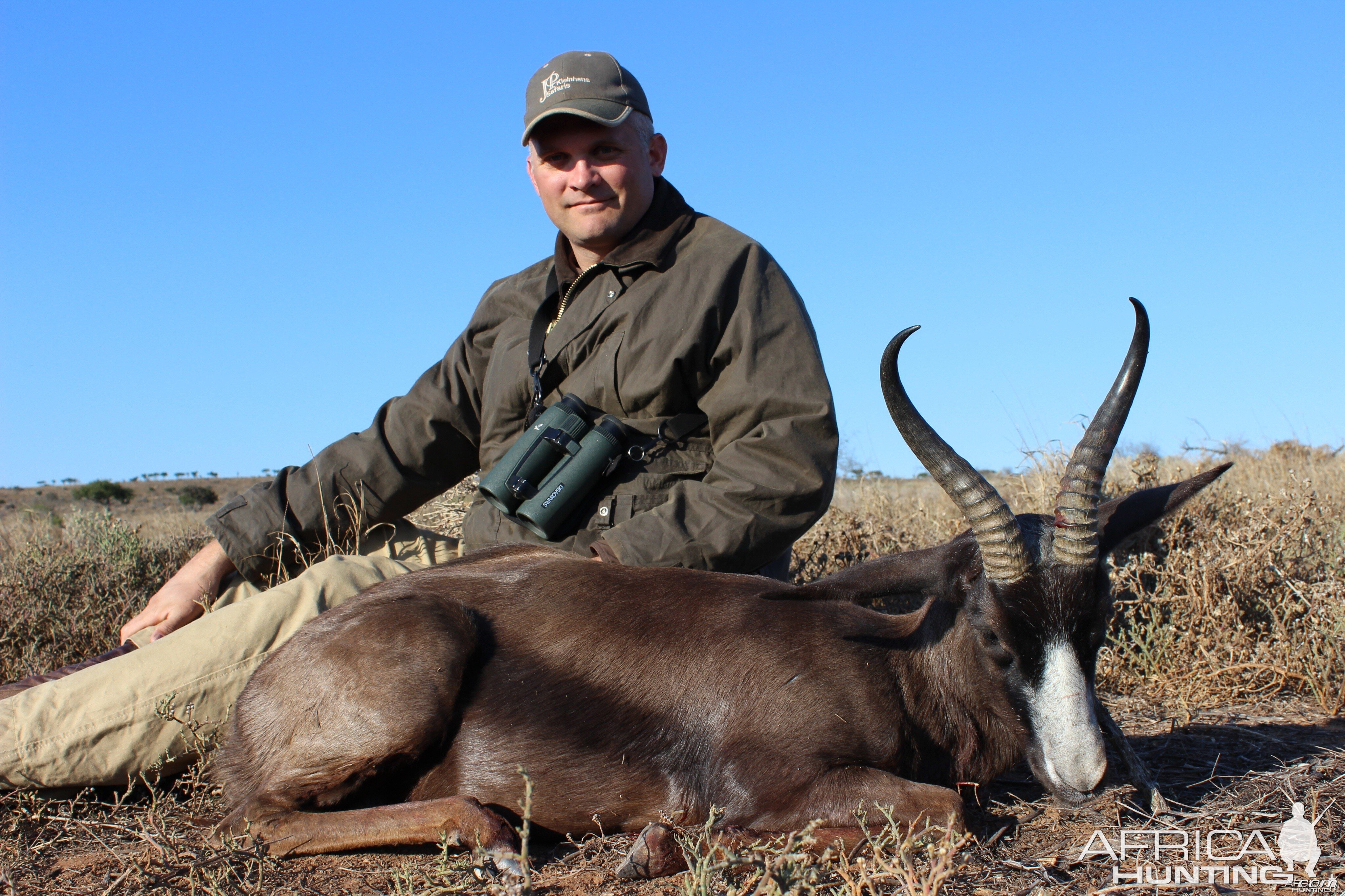 Black springbok