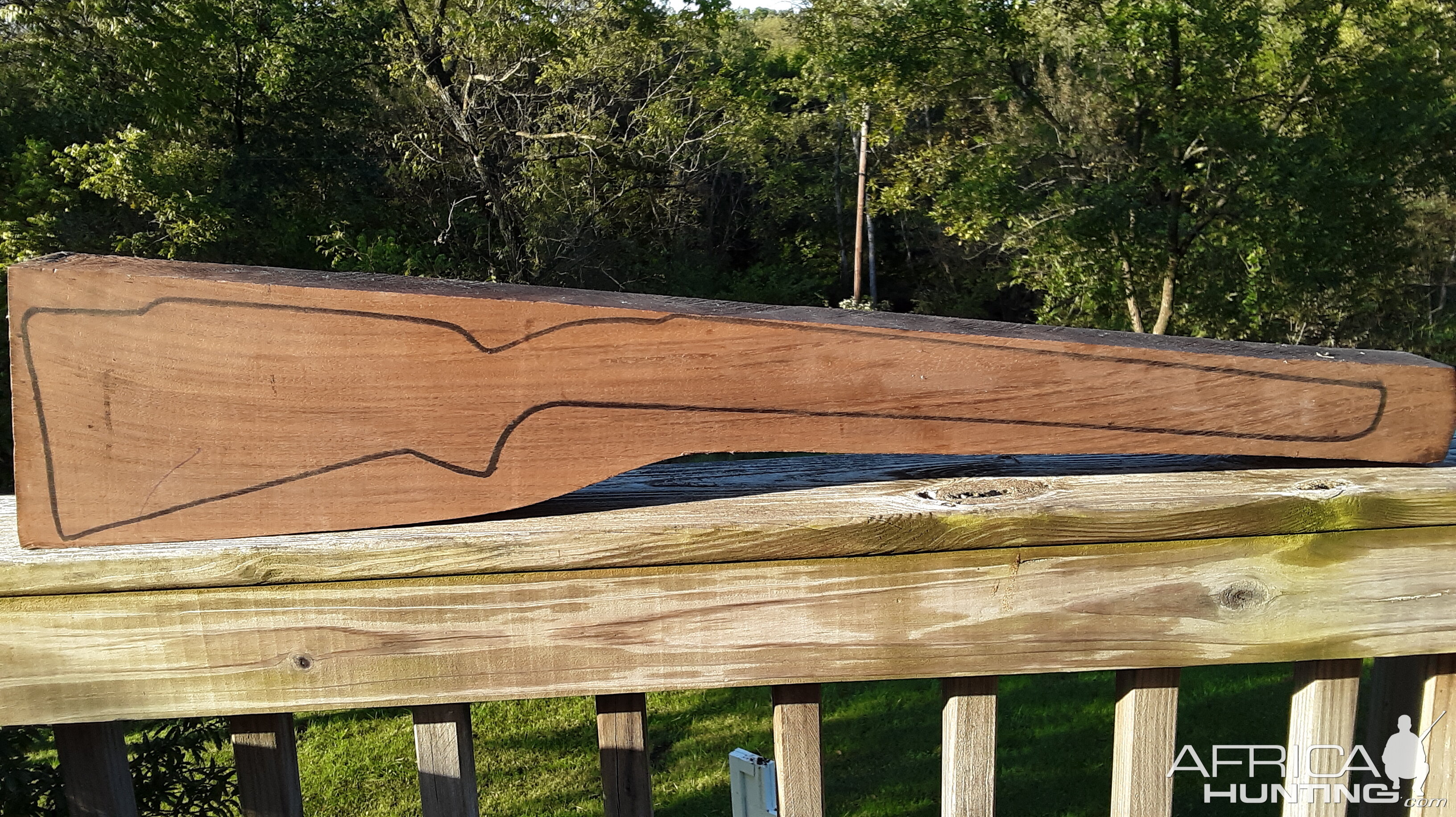 Black Walnut Stock Blank