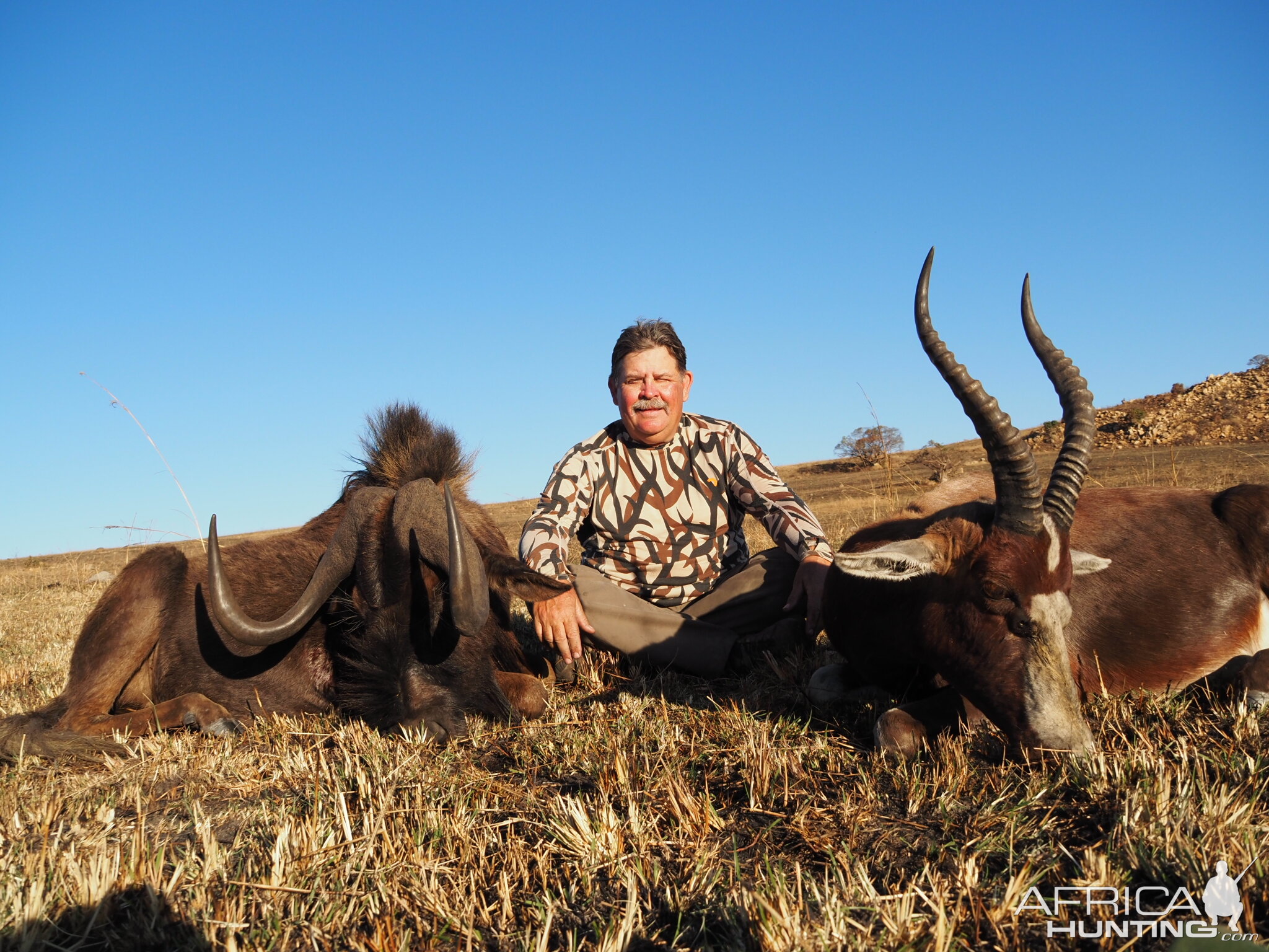 Black Wildebeest & Blesbok Hunting South Africa
