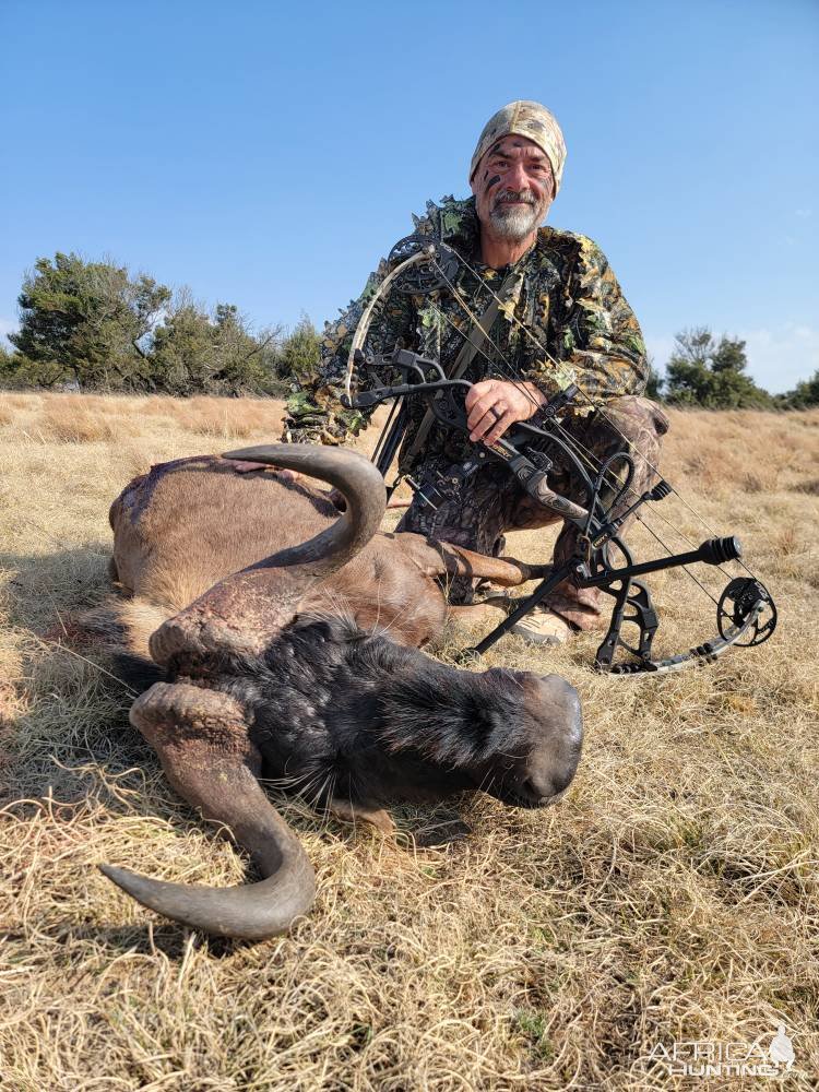 Black Wildebeest Bow Hunt South Africa