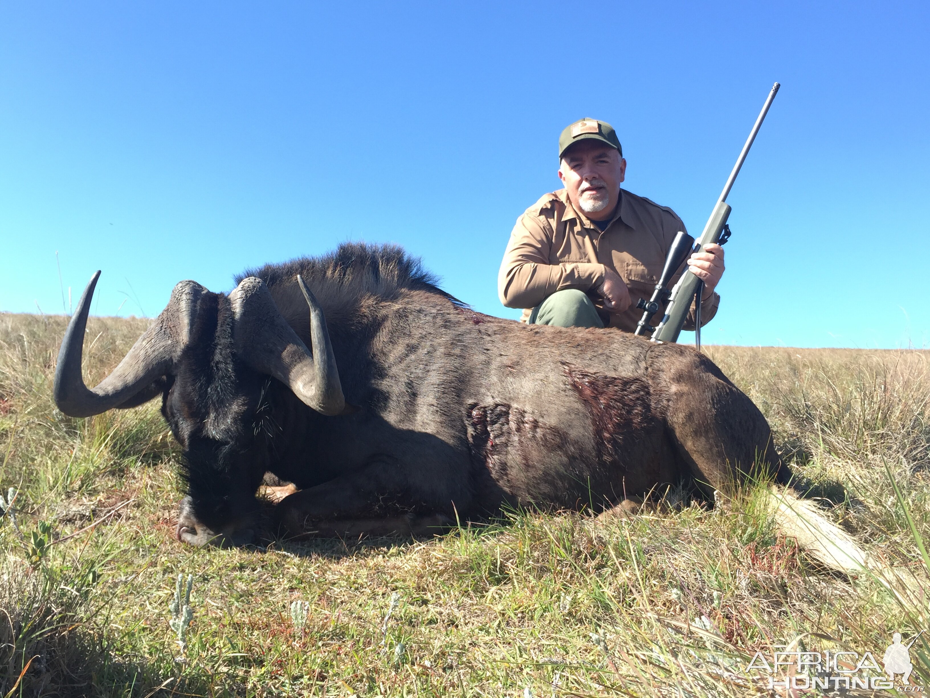 Black Wildebeest Hunt-Eastern Cape