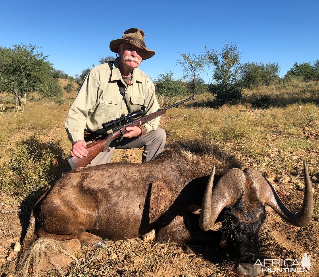 Black Wildebeest Hunt Namibia