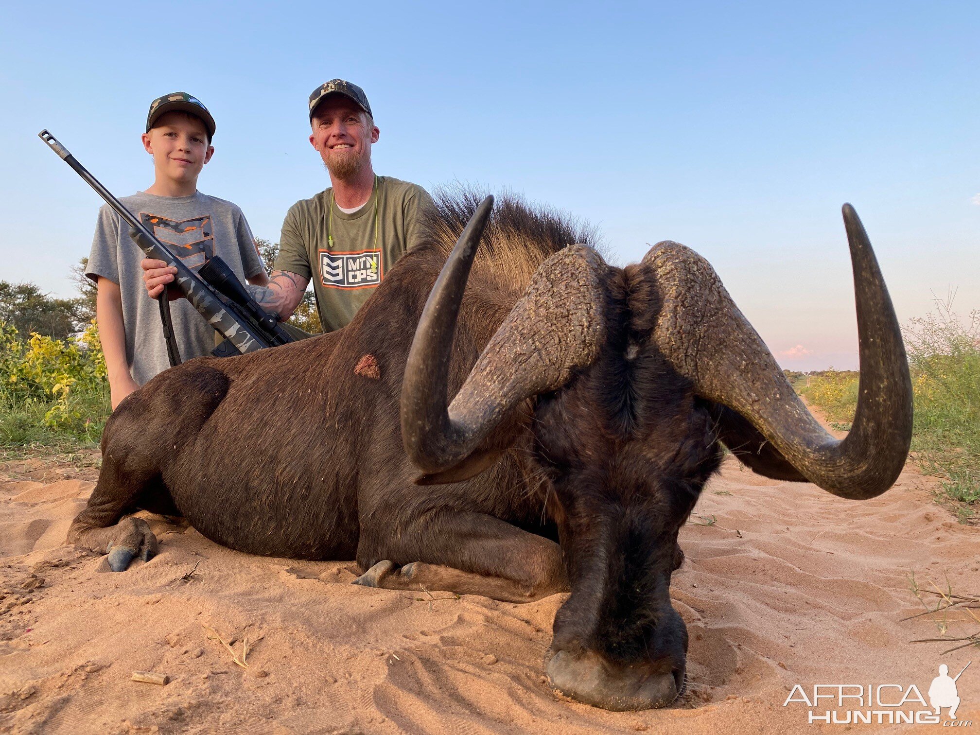 Black Wildebeest Hunt South Africa