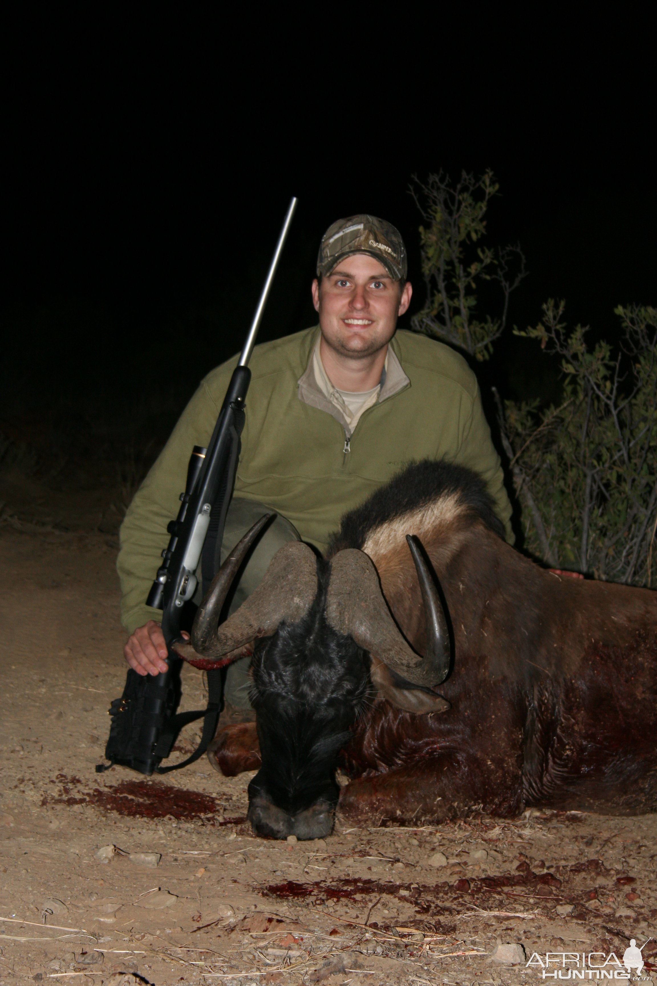 Black Wildebeest Hunt South Africa