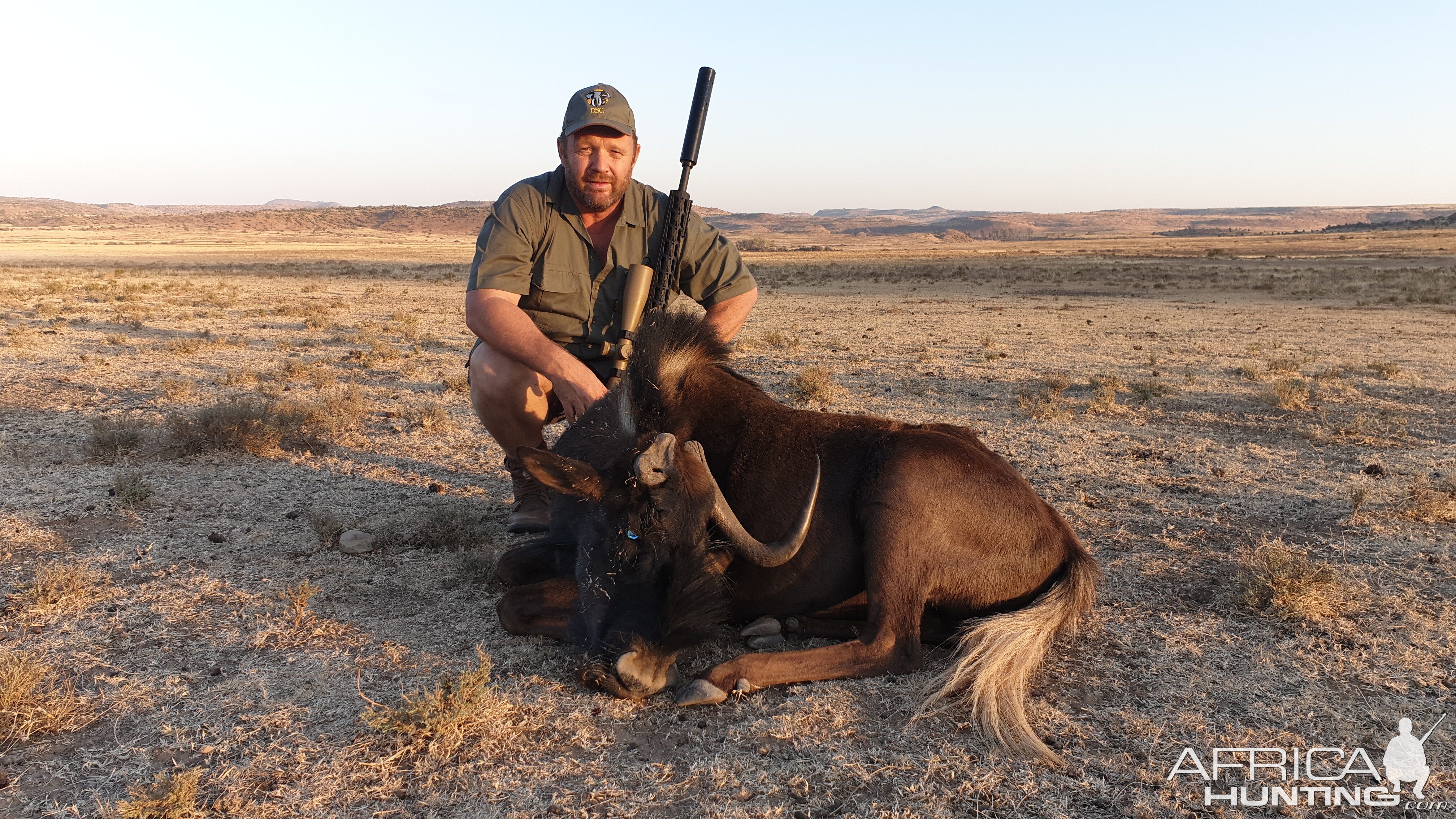 Black Wildebeest Hunt South Africa