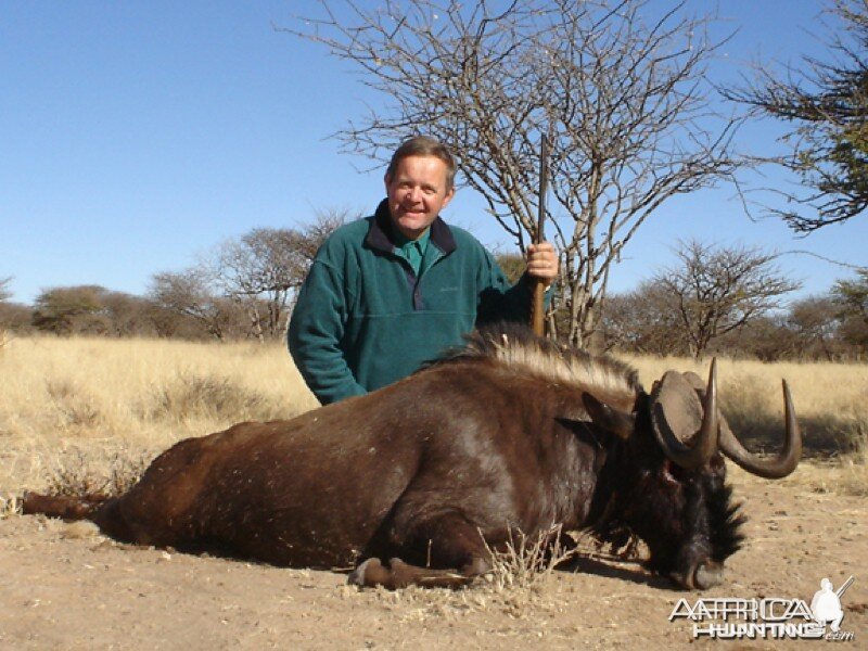 Black Wildebeest hunted with Ozondjahe Hunting Safaris in Namibia