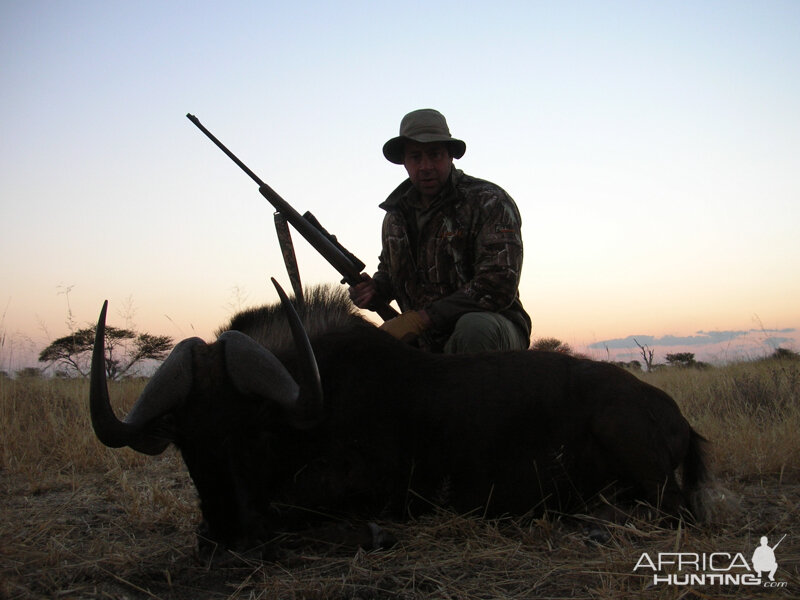 Black Wildebeest hunted with Ozondjahe Hunting Safaris in Namibia