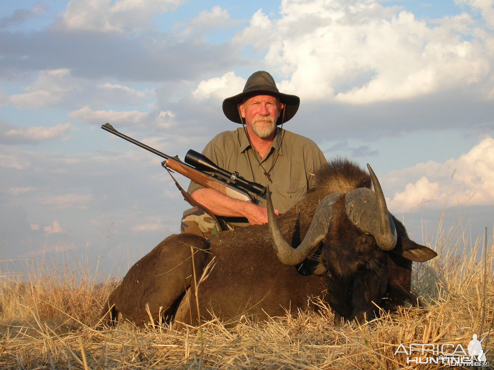 Black Wildebeest Hunting in Namibia