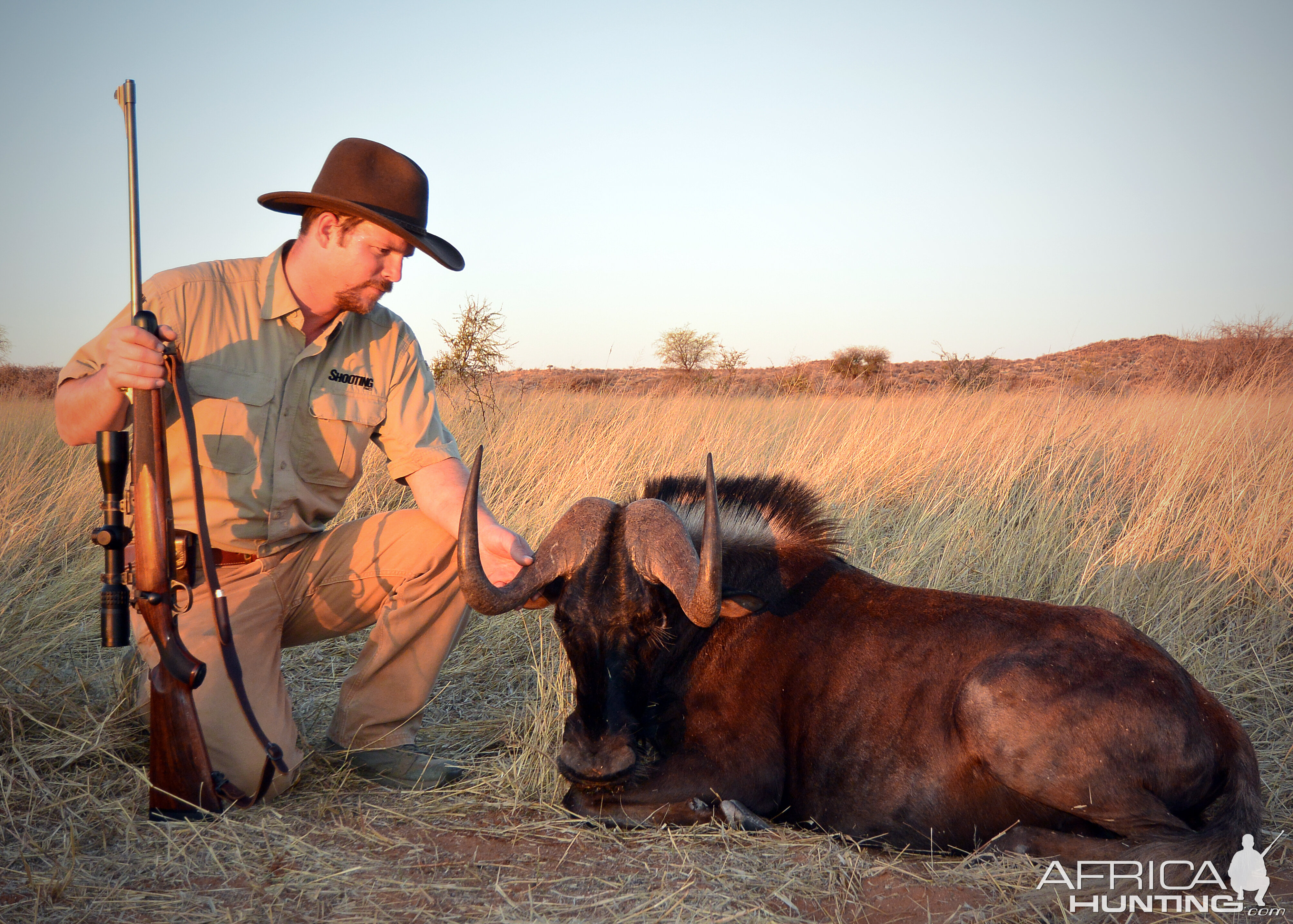 Black Wildebeest Hunting Namibia