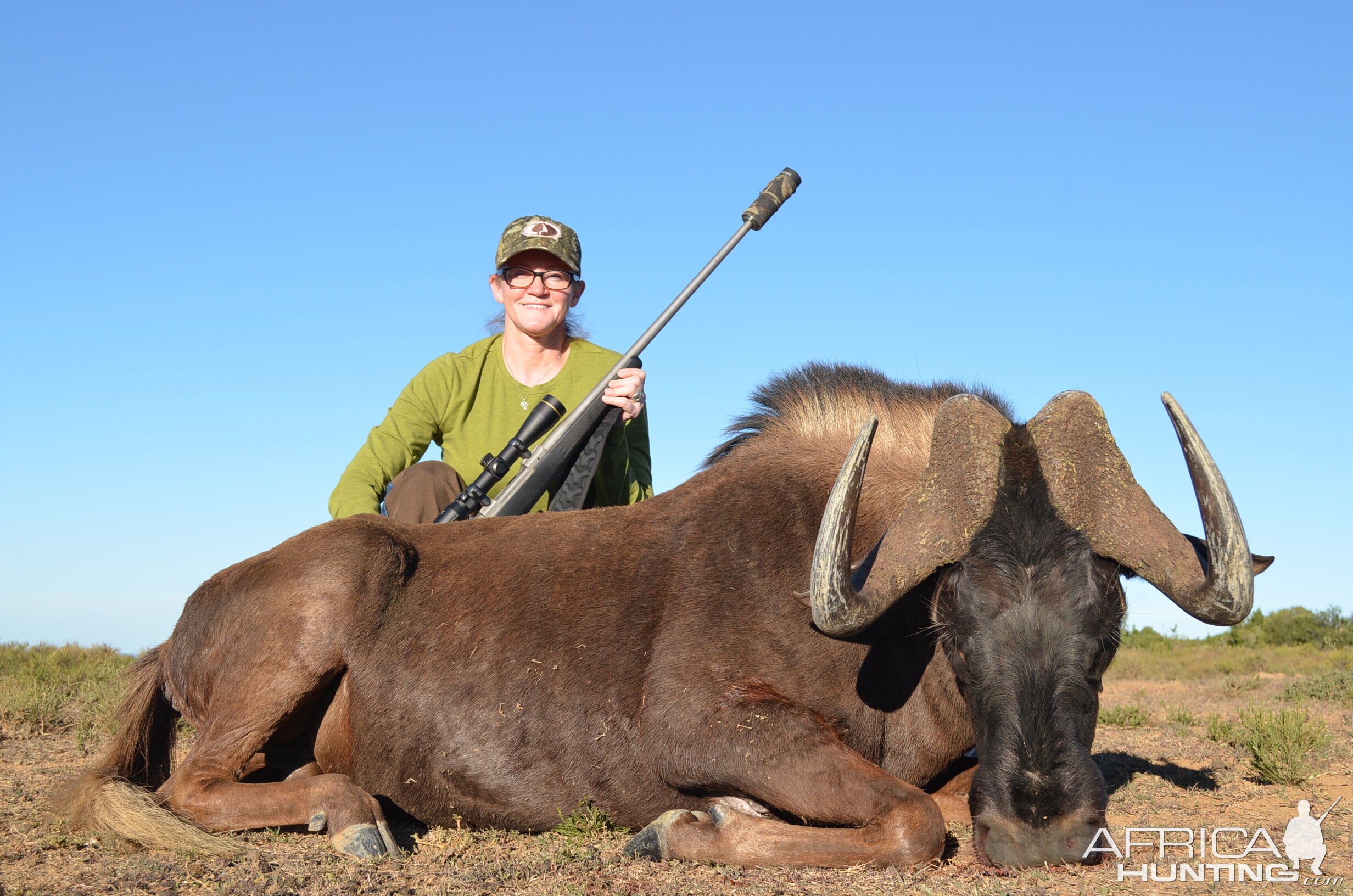 Black Wildebeest Hunting South Africa