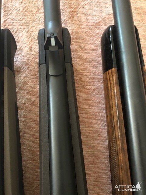 Blaser R8 - Three different stocks