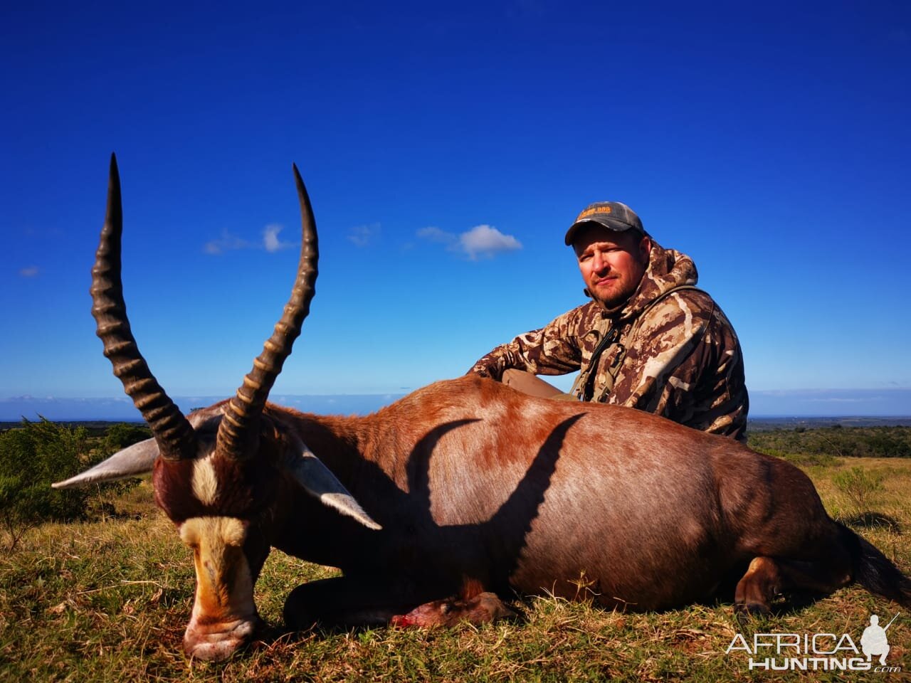 Blesbok Bow Hunt South Africa