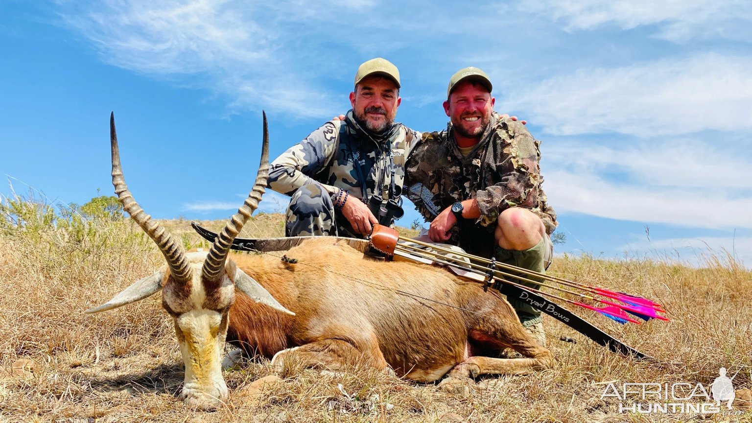 Blesbok Bowhunt Eastern Cape South Africa