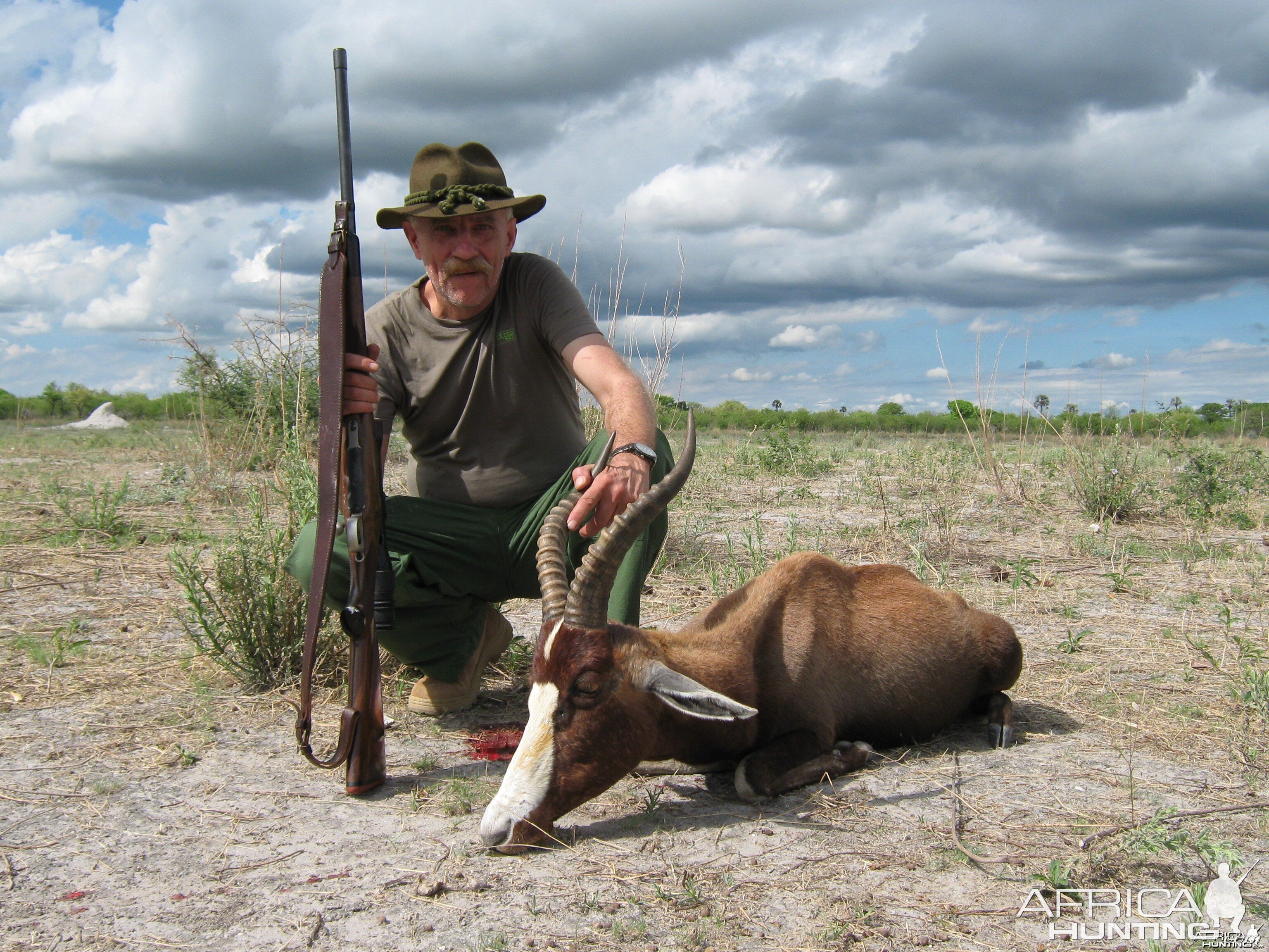 Blesbok from Omalanga Safaris Namibia