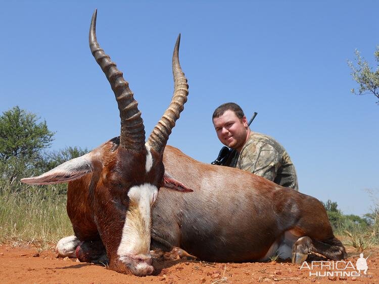 Blesbok hunt in South Africa with HartzView Hunting Safaris