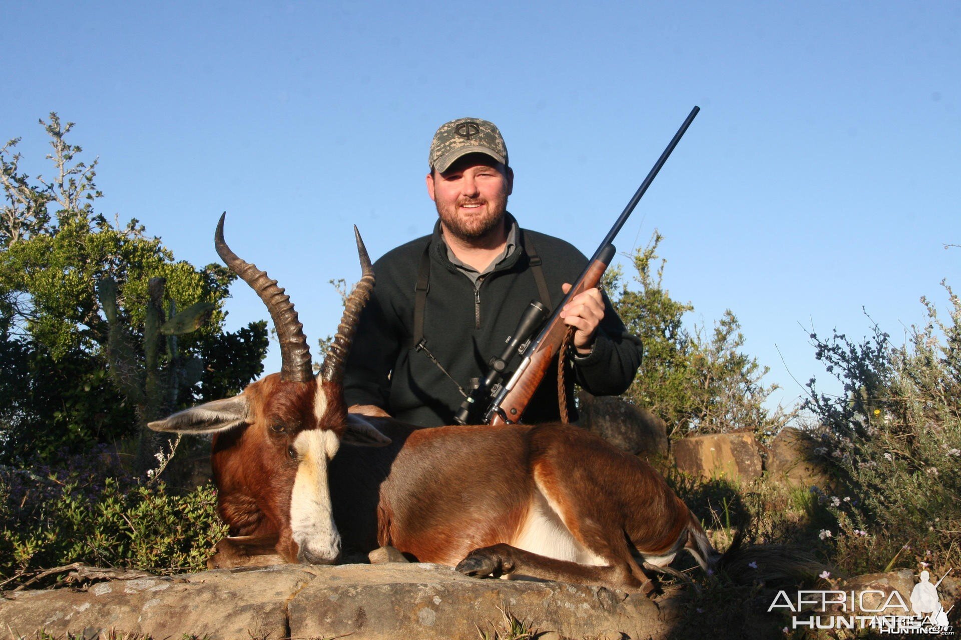 Blesbok hunt in South Africa