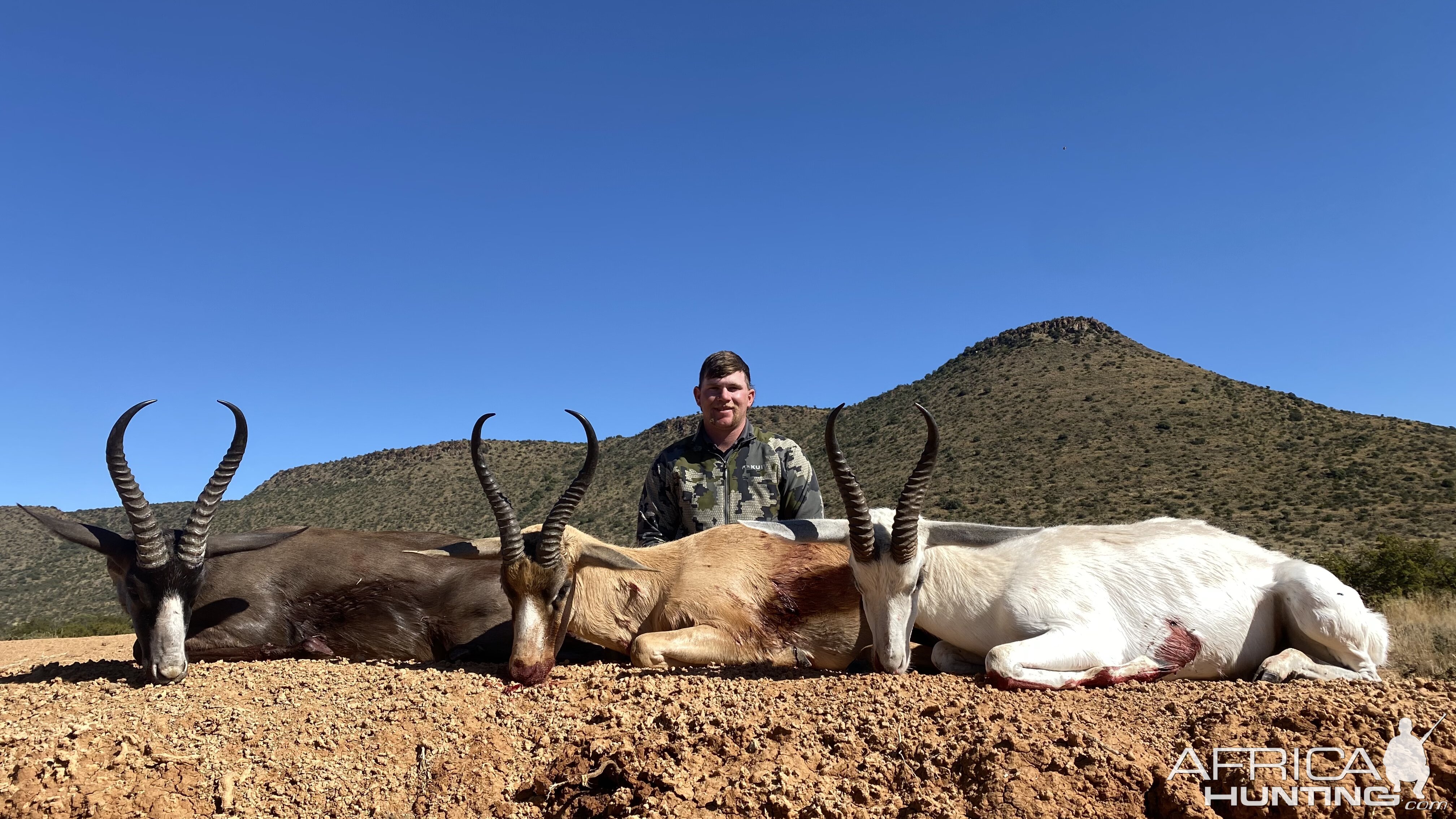 Blesbok Hunt South Africa