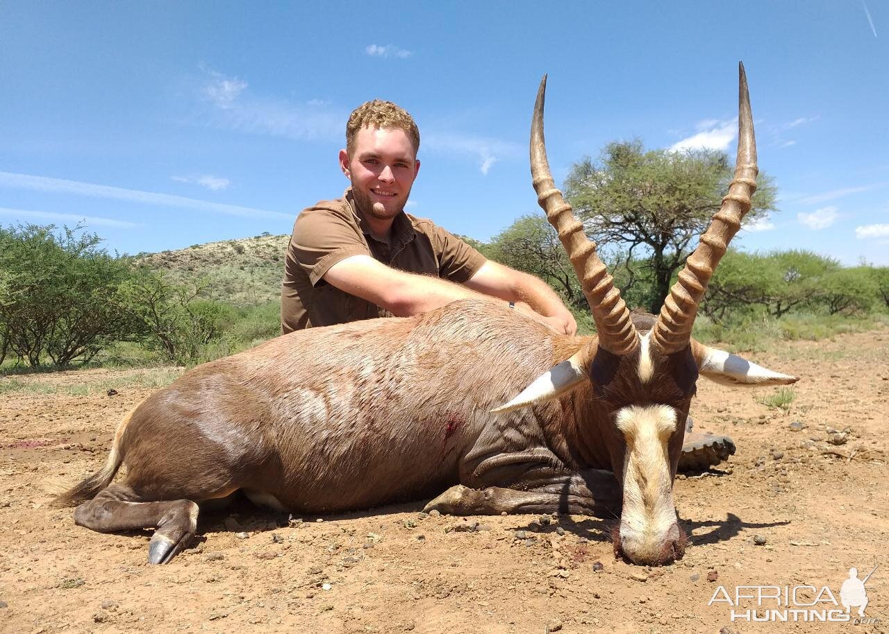 Blesbok Hunt South Africa