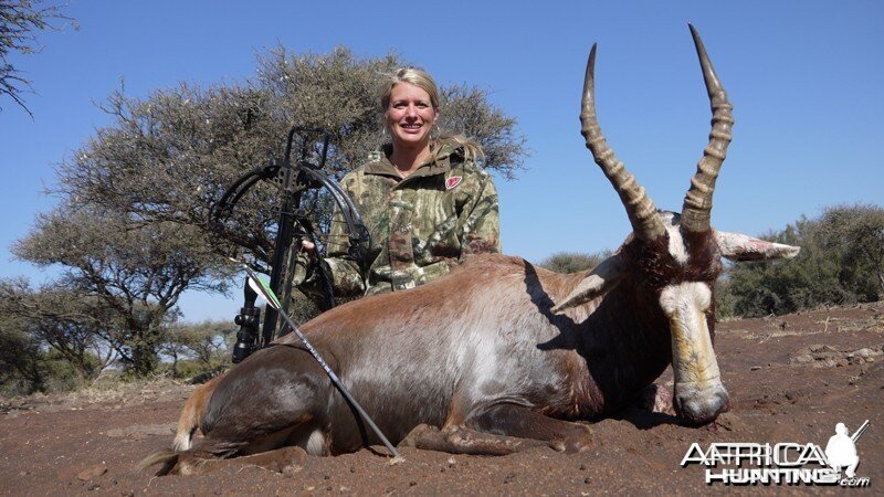 Blesbok hunt with Wintershoek Johnny Vivier Safaris