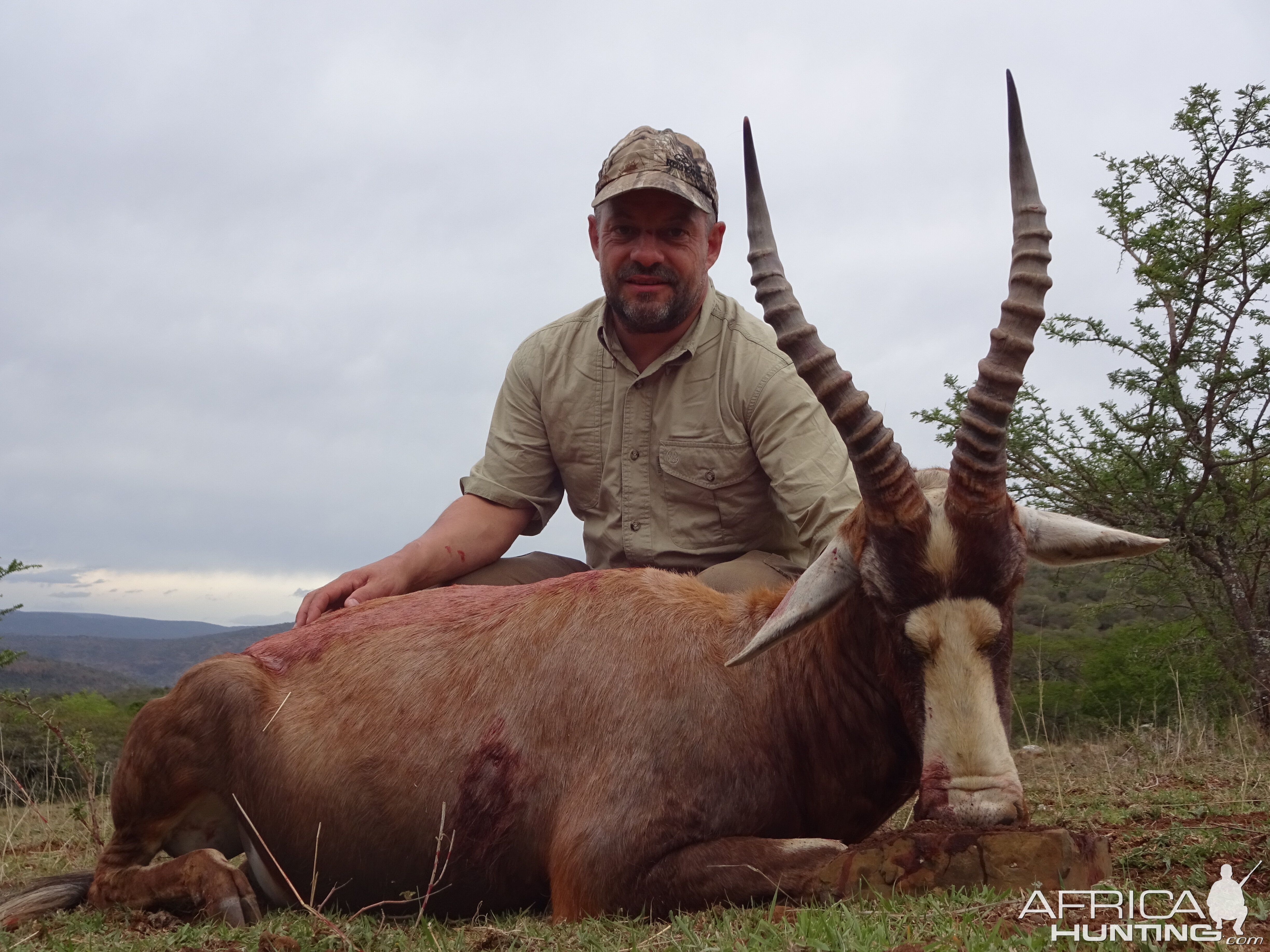 Blesbok Hunt