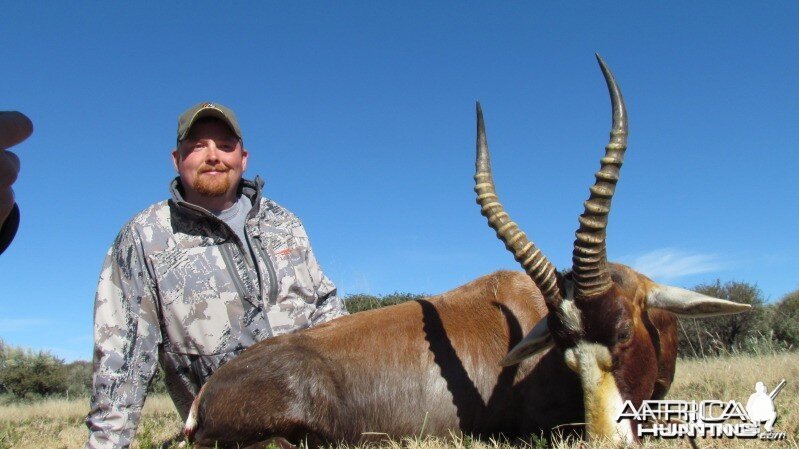 Blesbok hunted in South Africa