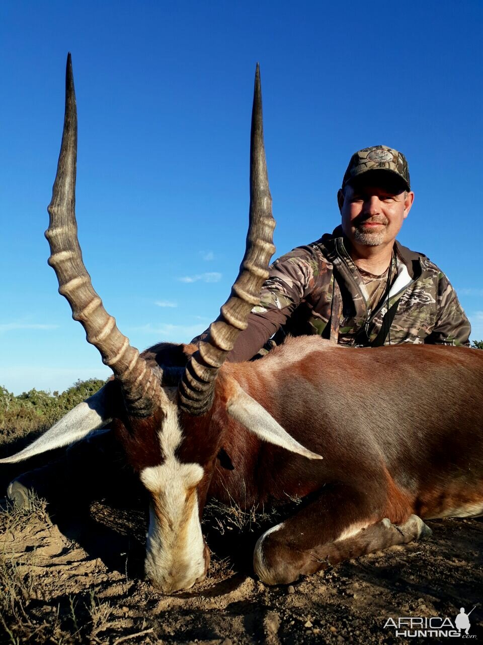 Blesbok Hunting in South Africa