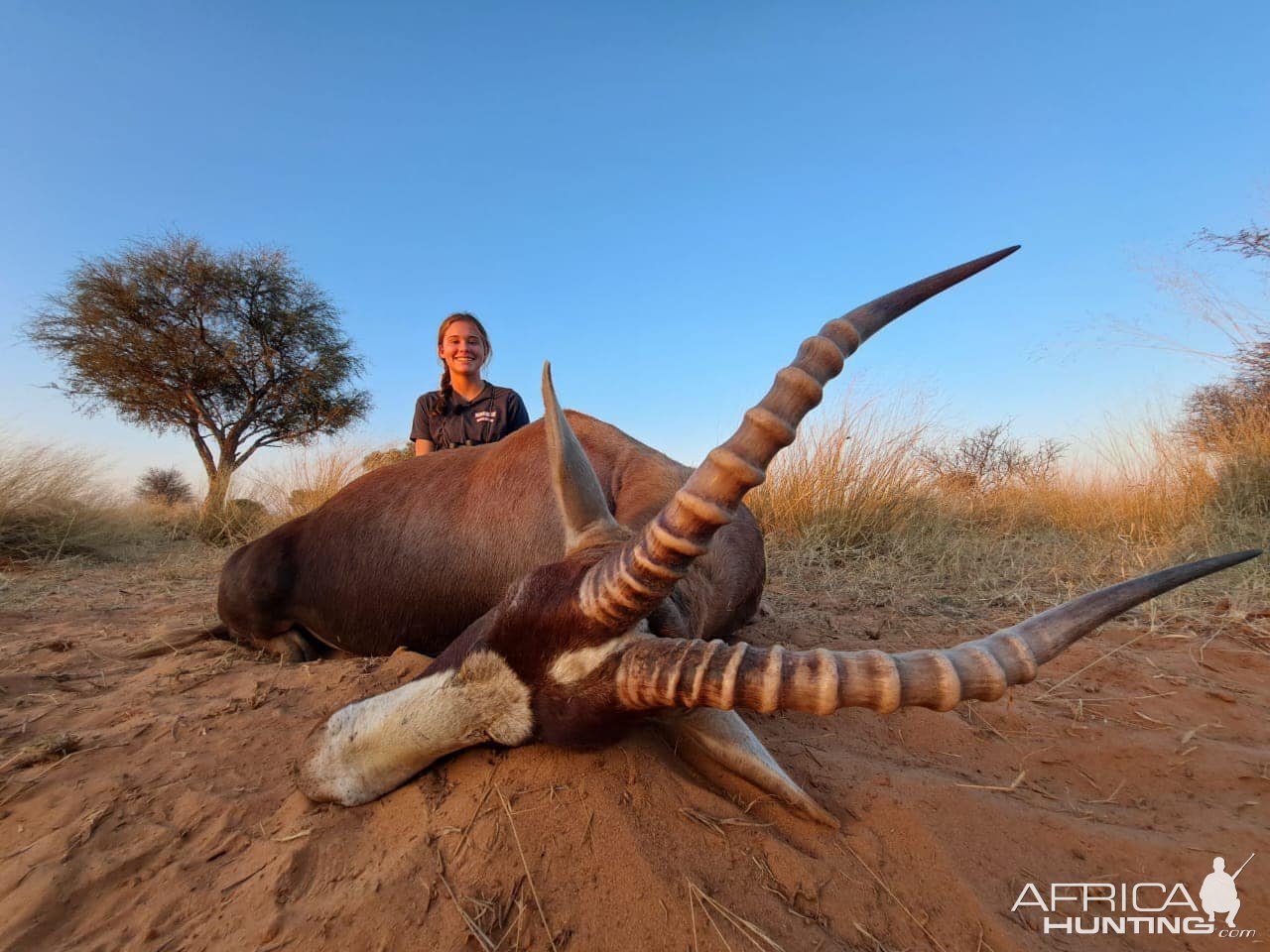 Blesbok Hunting Kalahari South Africa