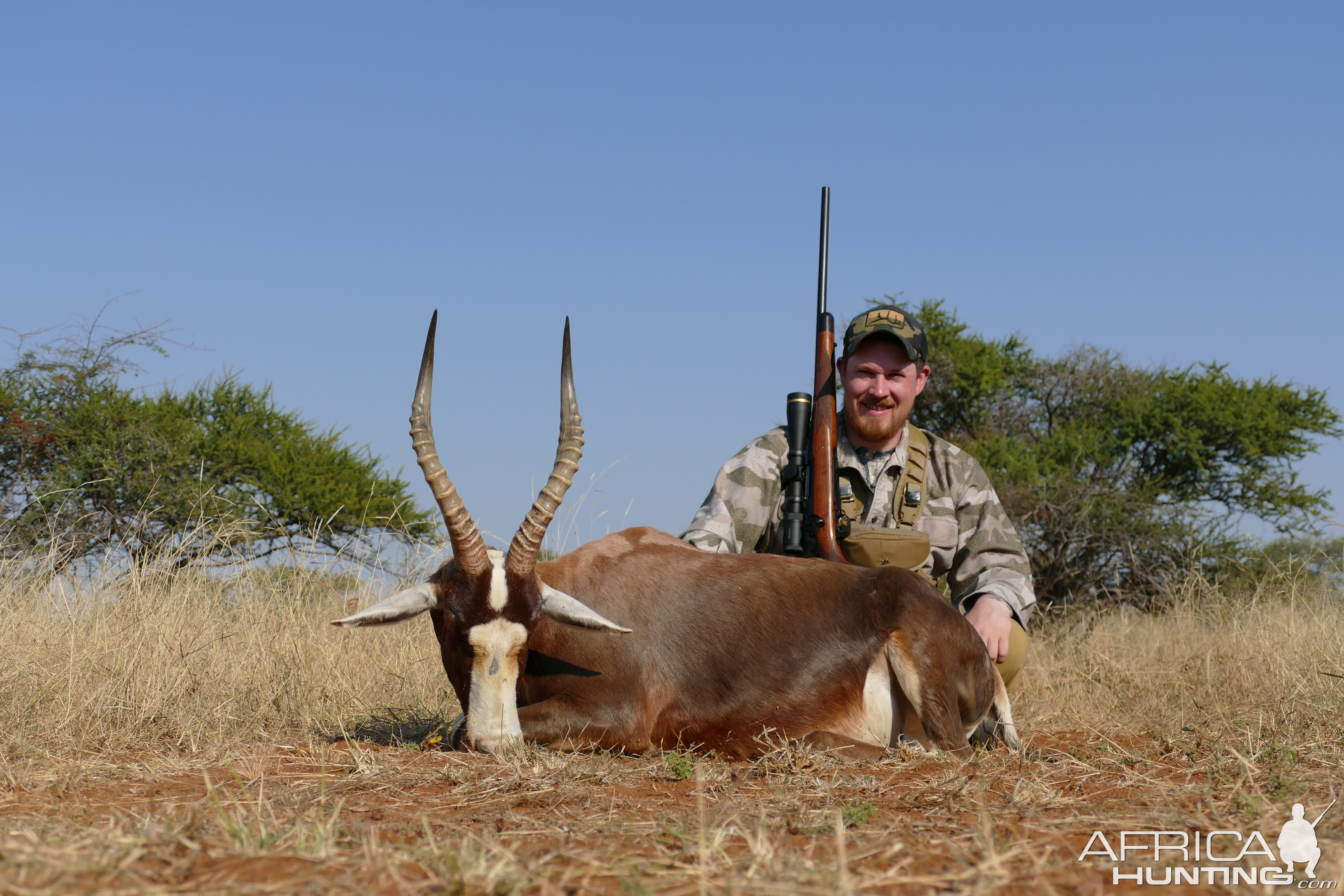 Blesbok Hunting South Africa